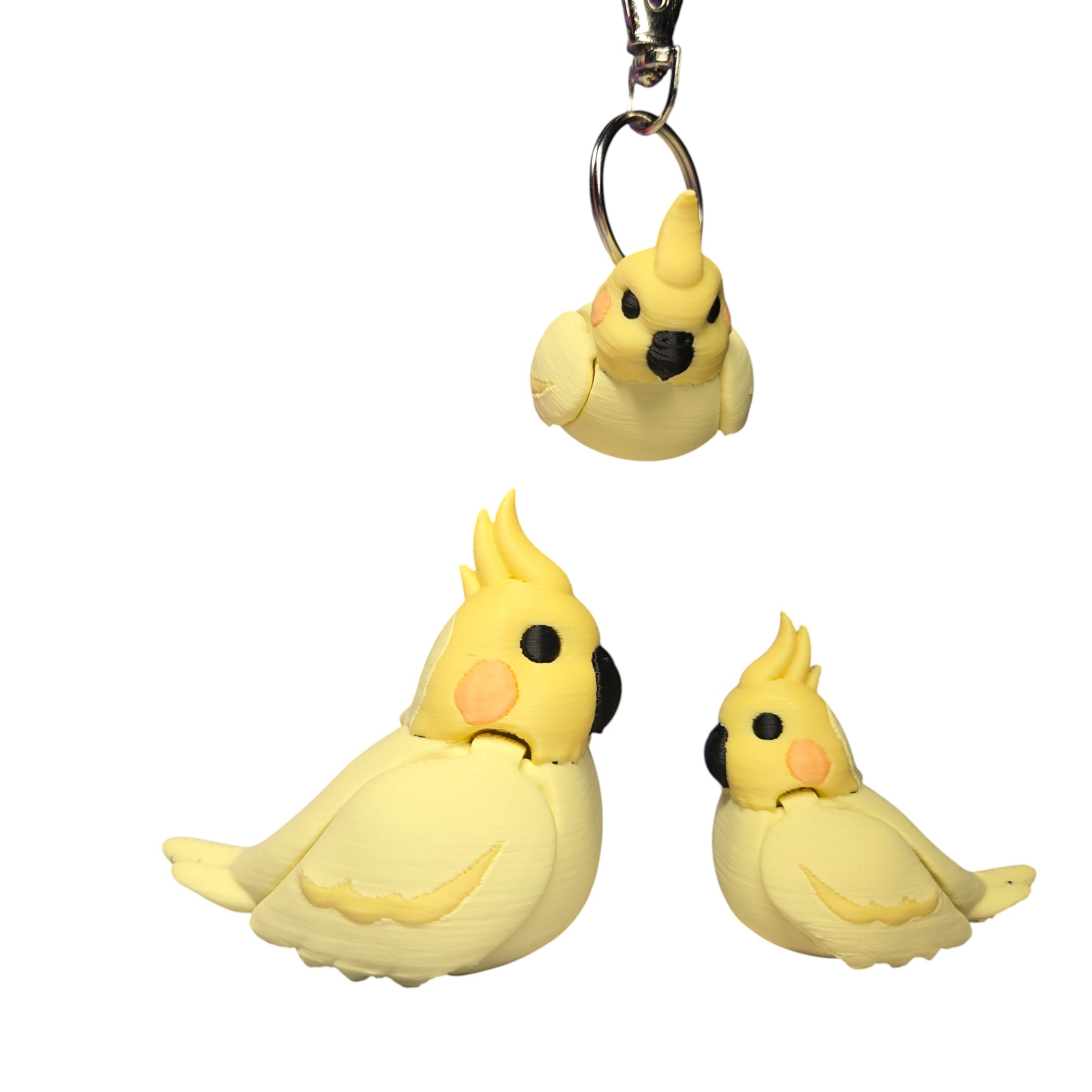 Cockatiel