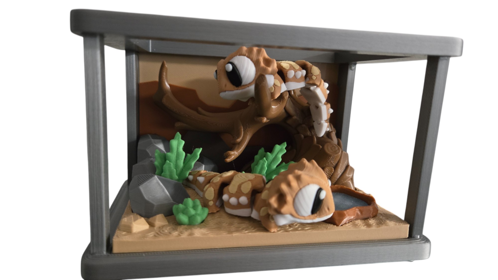 Reptile Enclosure