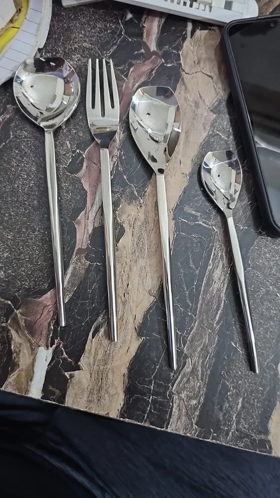 Stainless Steel Cutlery Set