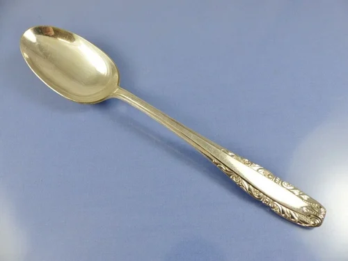 Stainless Steel Service Spoon