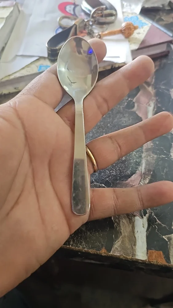Stainless Steel Service Spoon