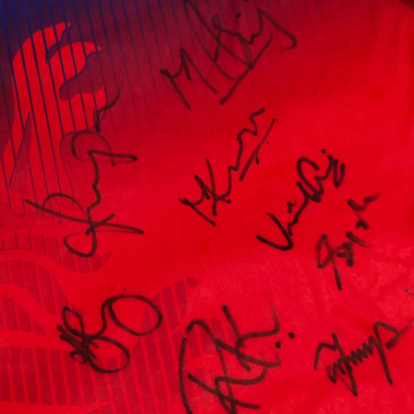 RCB 2024 Squad Hand-signed Jersey 