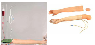 Multi-fuctional I.V. Training Arm