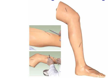 Advanced Surgical Suture Leg 