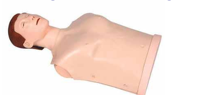 Advanced Half Body CPR  Training Manikin Without Light