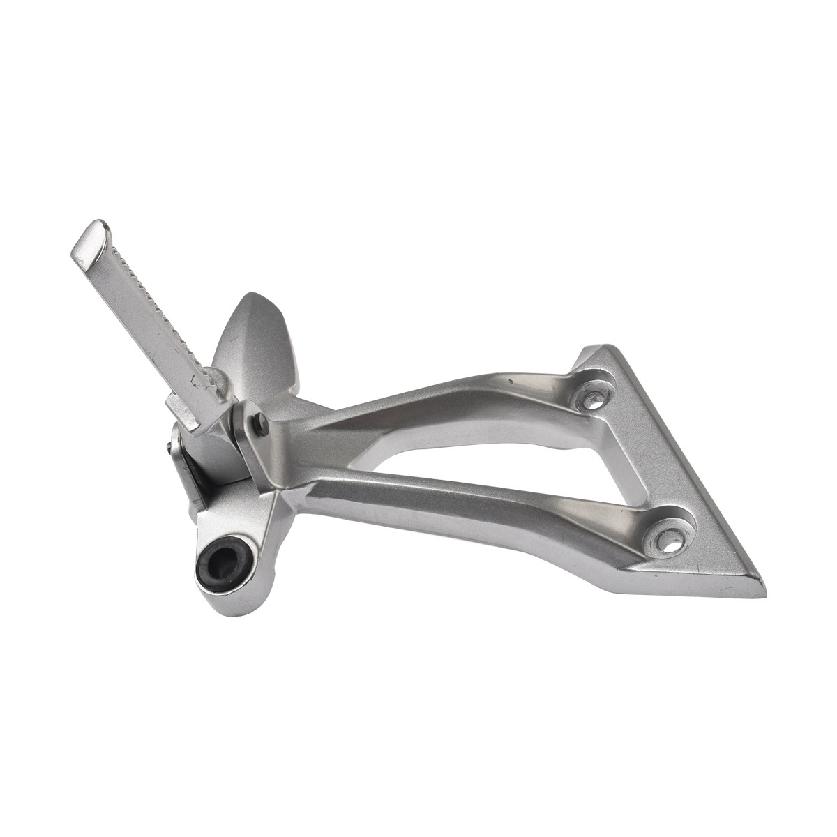 CONJUNTO DE POSAPIE TRASERO DERECHO RT250