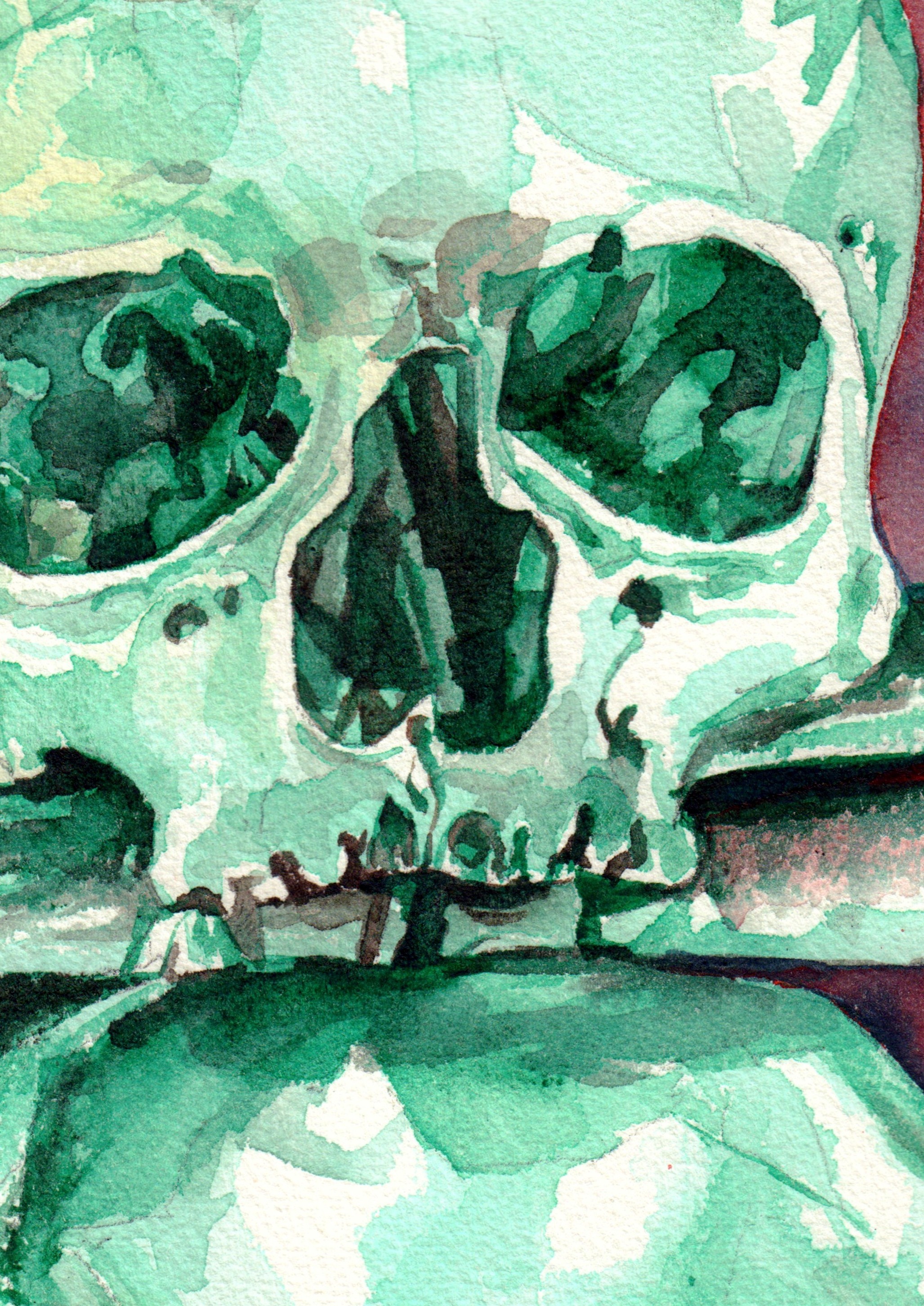 Pile Of Bones