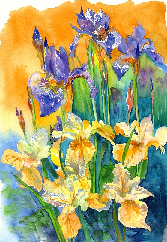 Irises In Still Pond