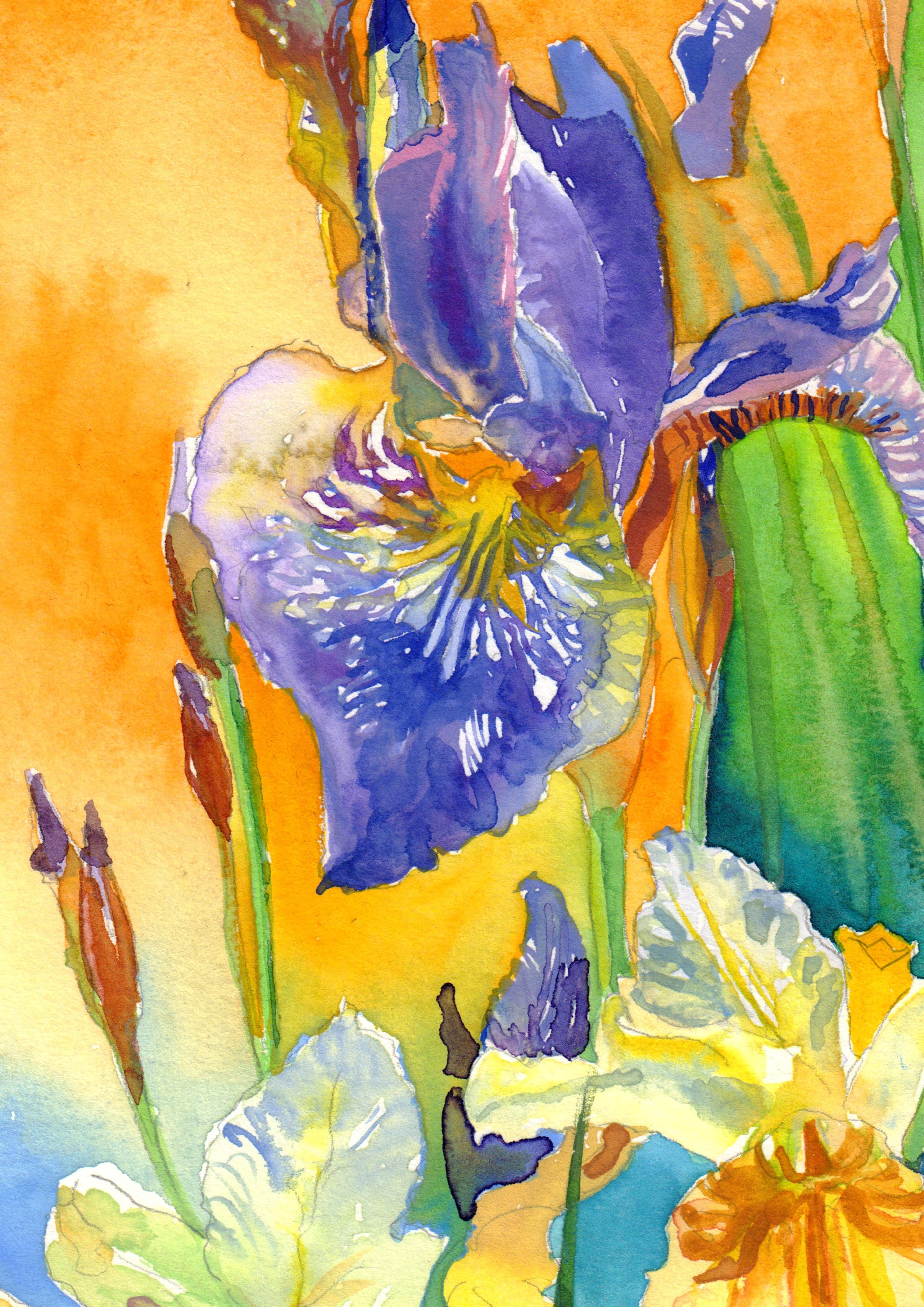 Irises In Still Pond