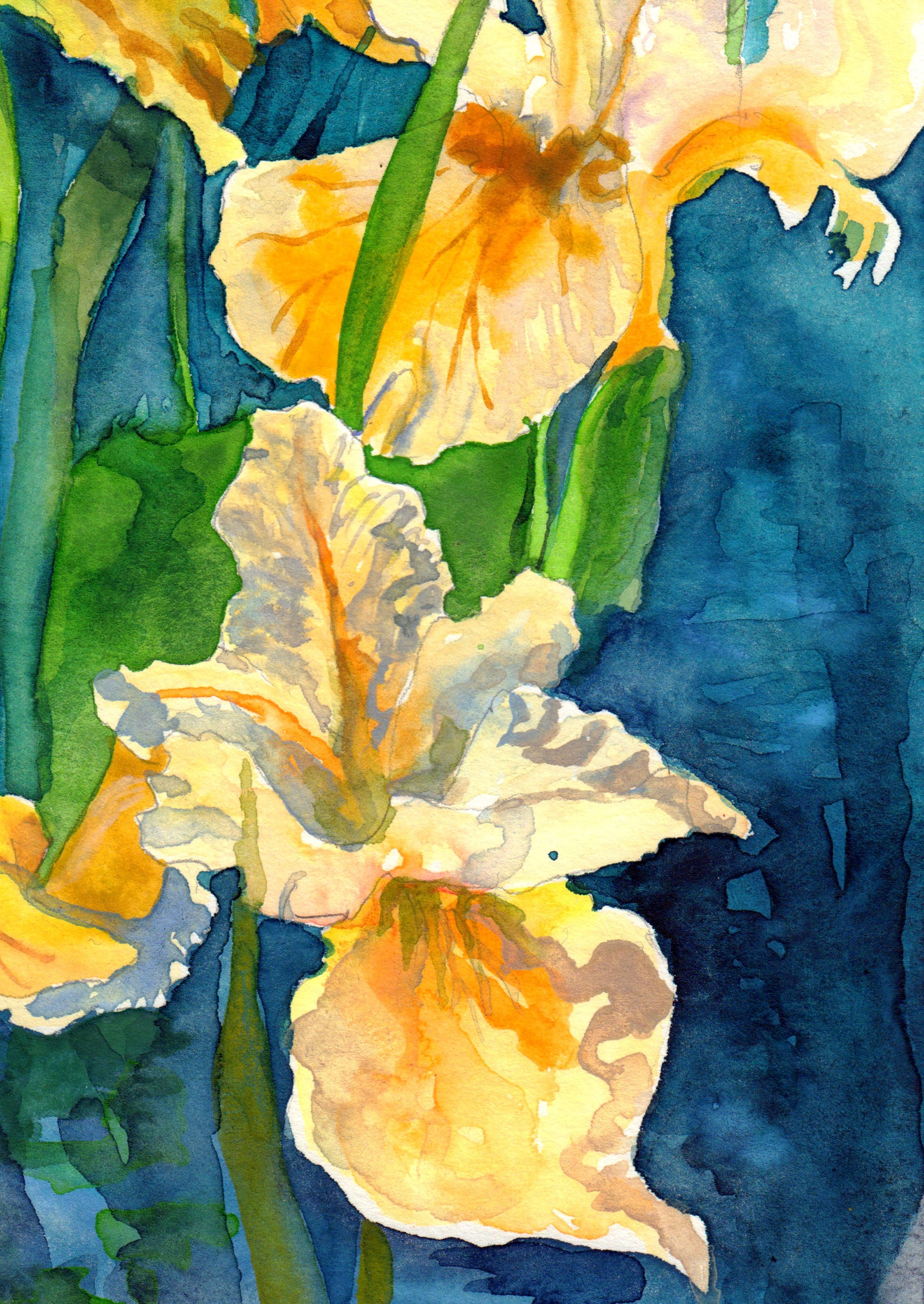 Irises In Still Pond
