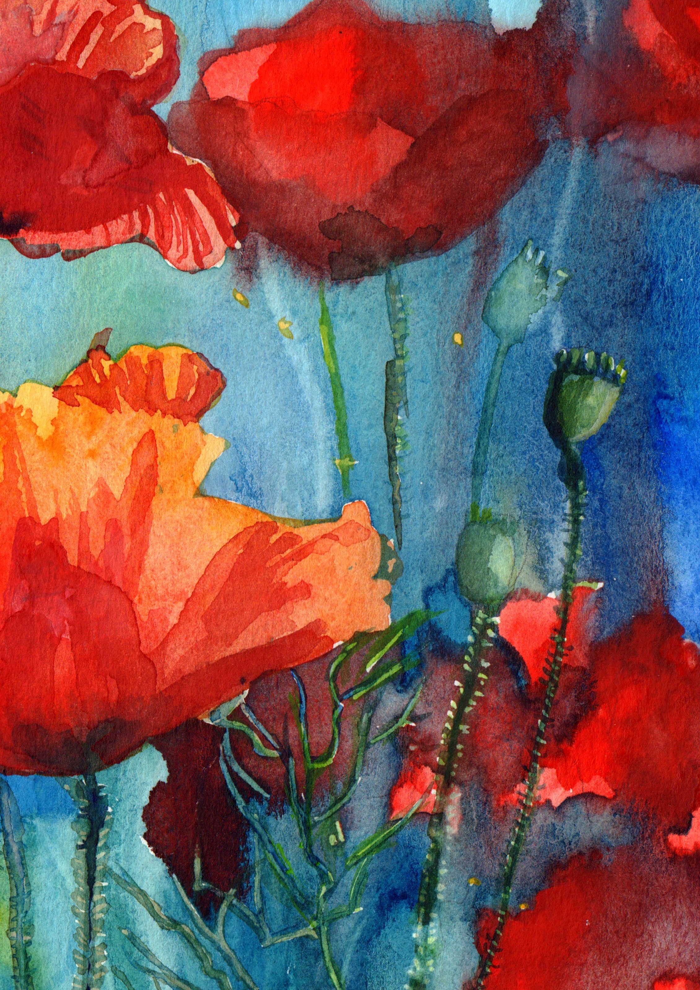 Red Poppies