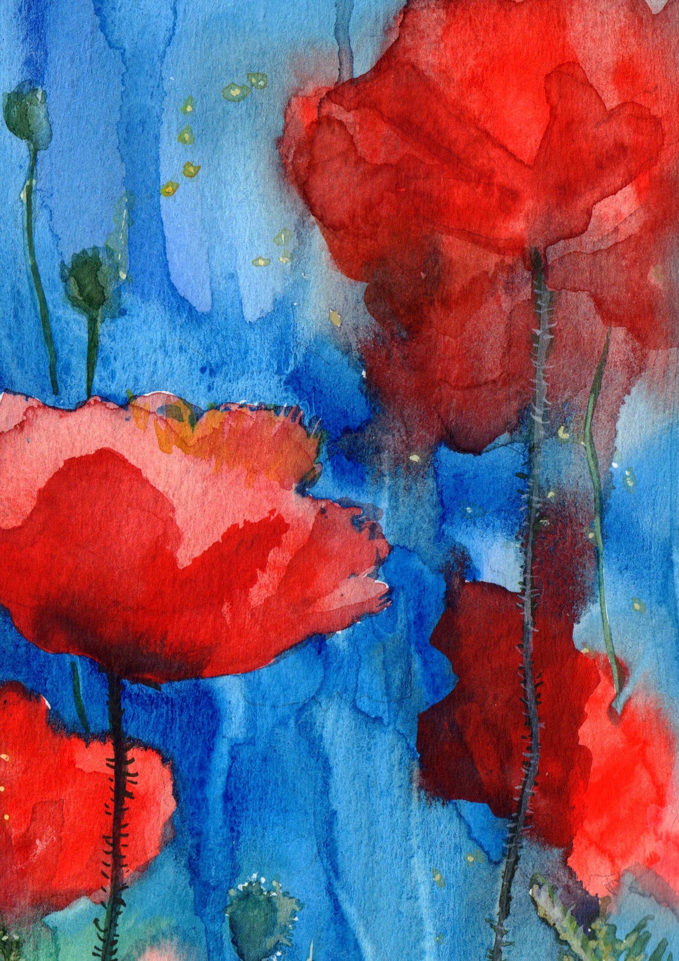 Red Poppies