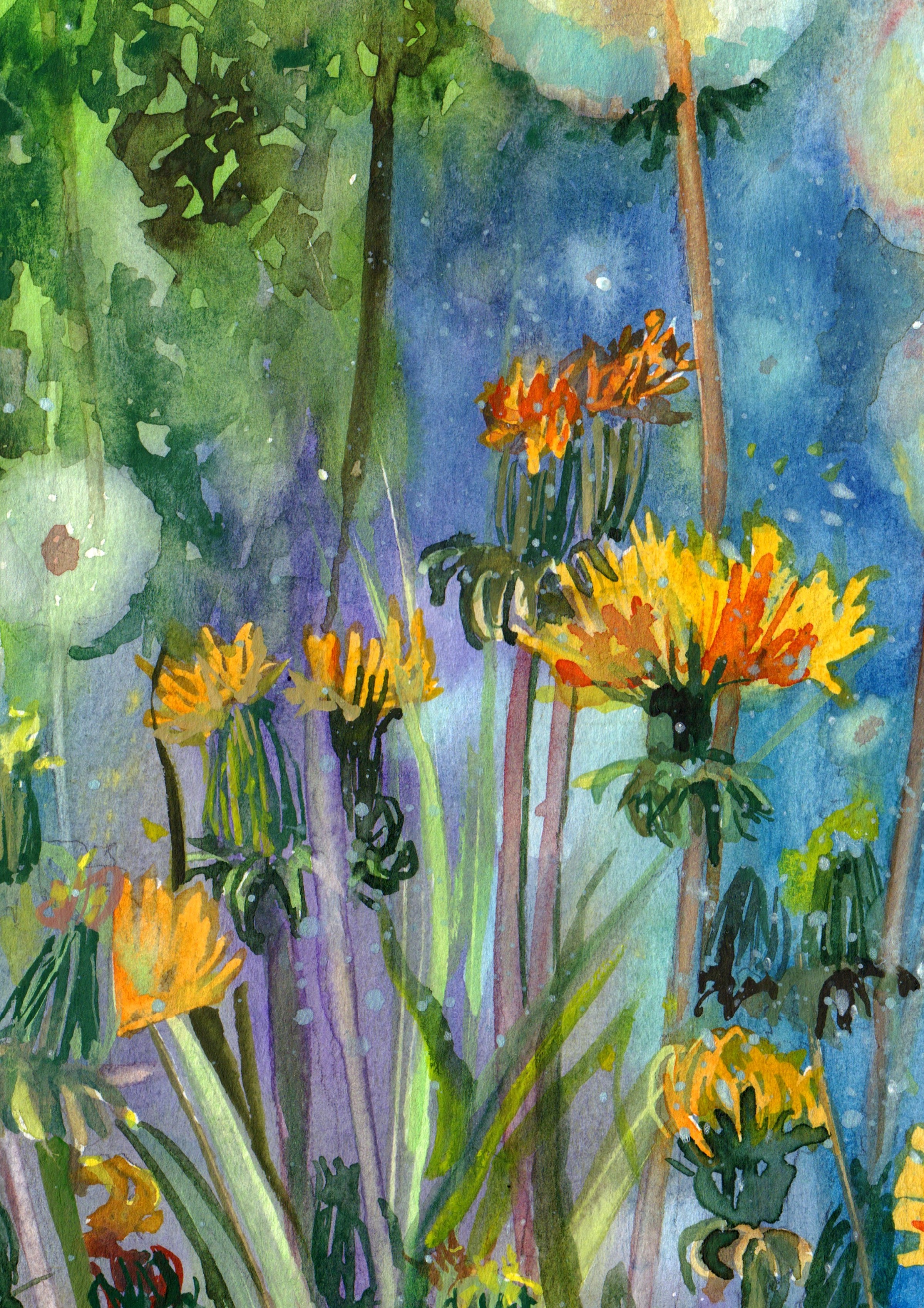 Dandelion Dreams