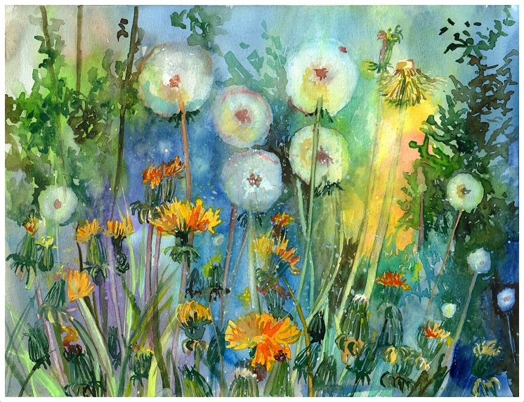Dandelion Dreams