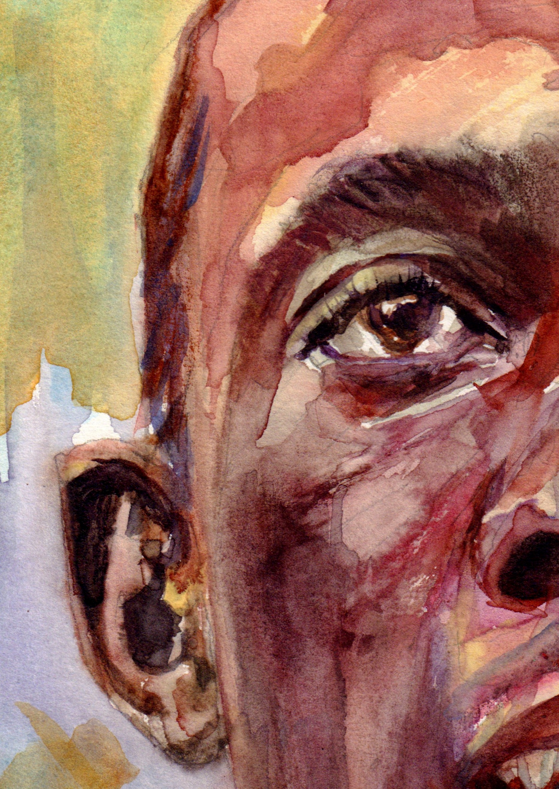 Jesse Owens