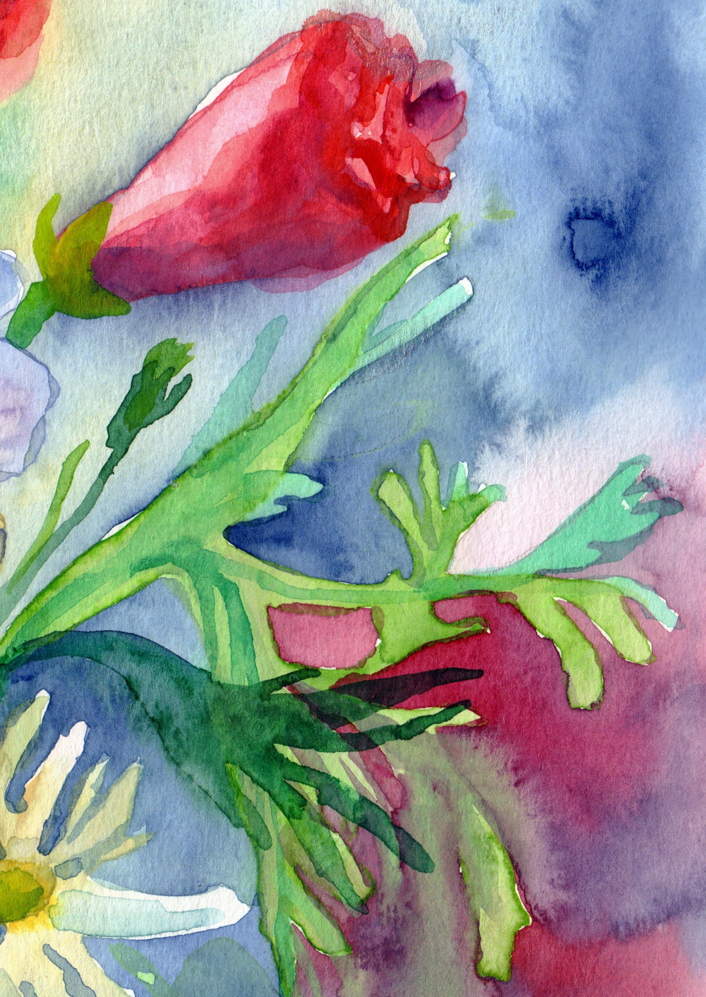 The Wild Bouquet