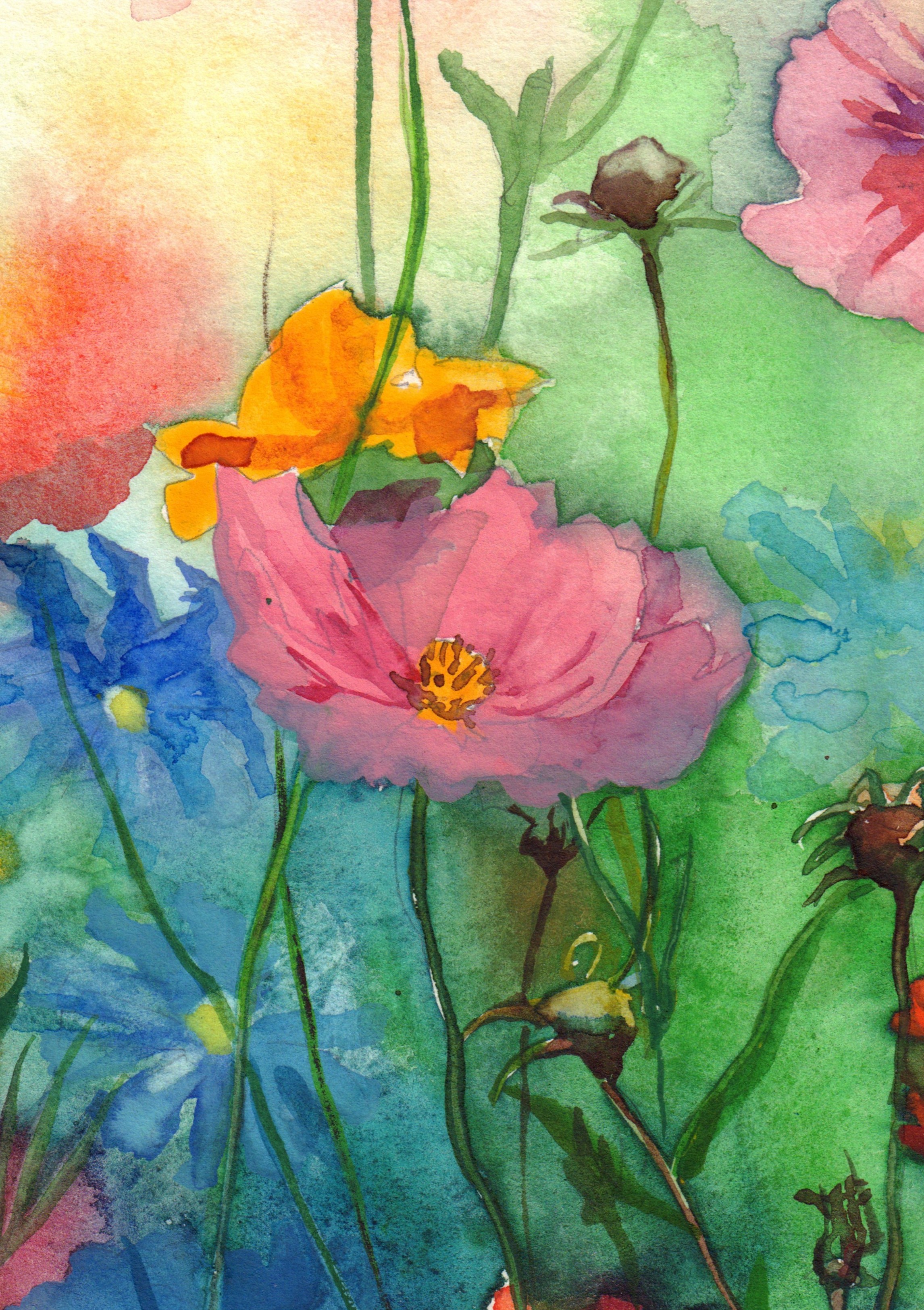 Meadow Whirl
