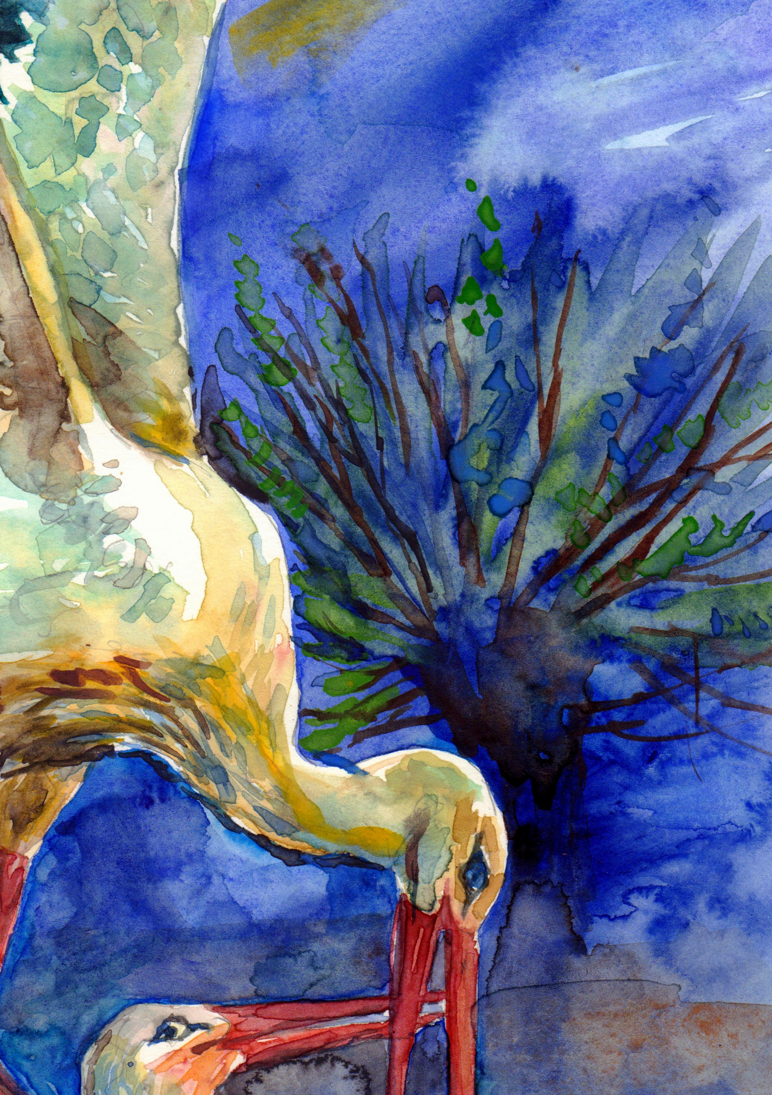 Two Storks