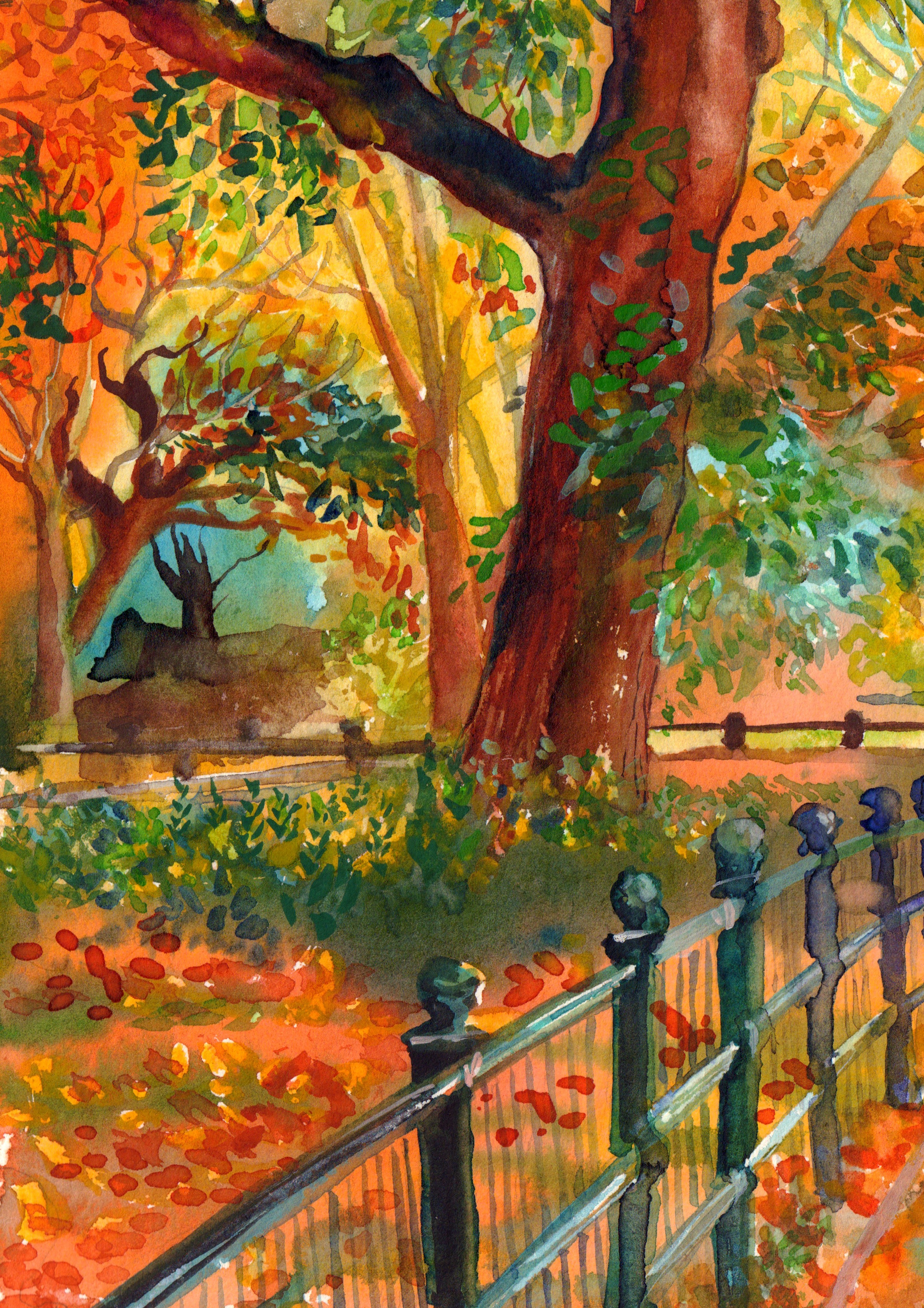 Central Park Autumn In New York