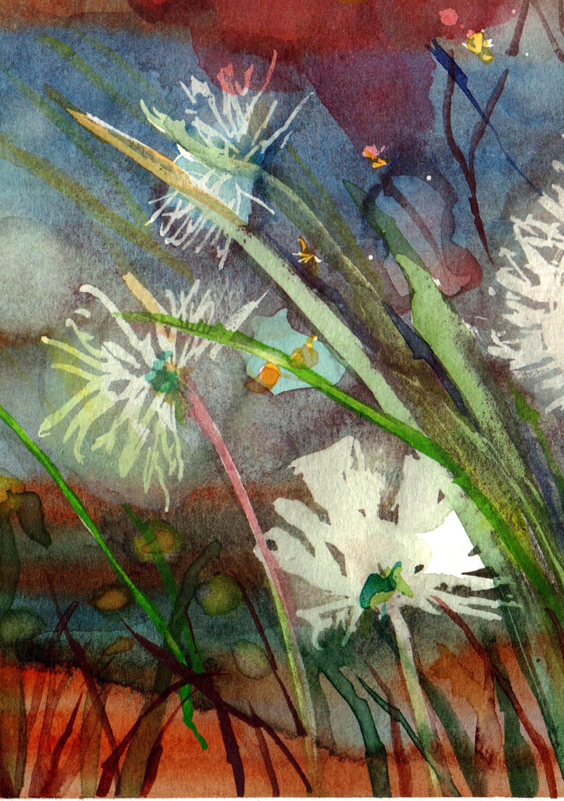 Dandelions And Poppies