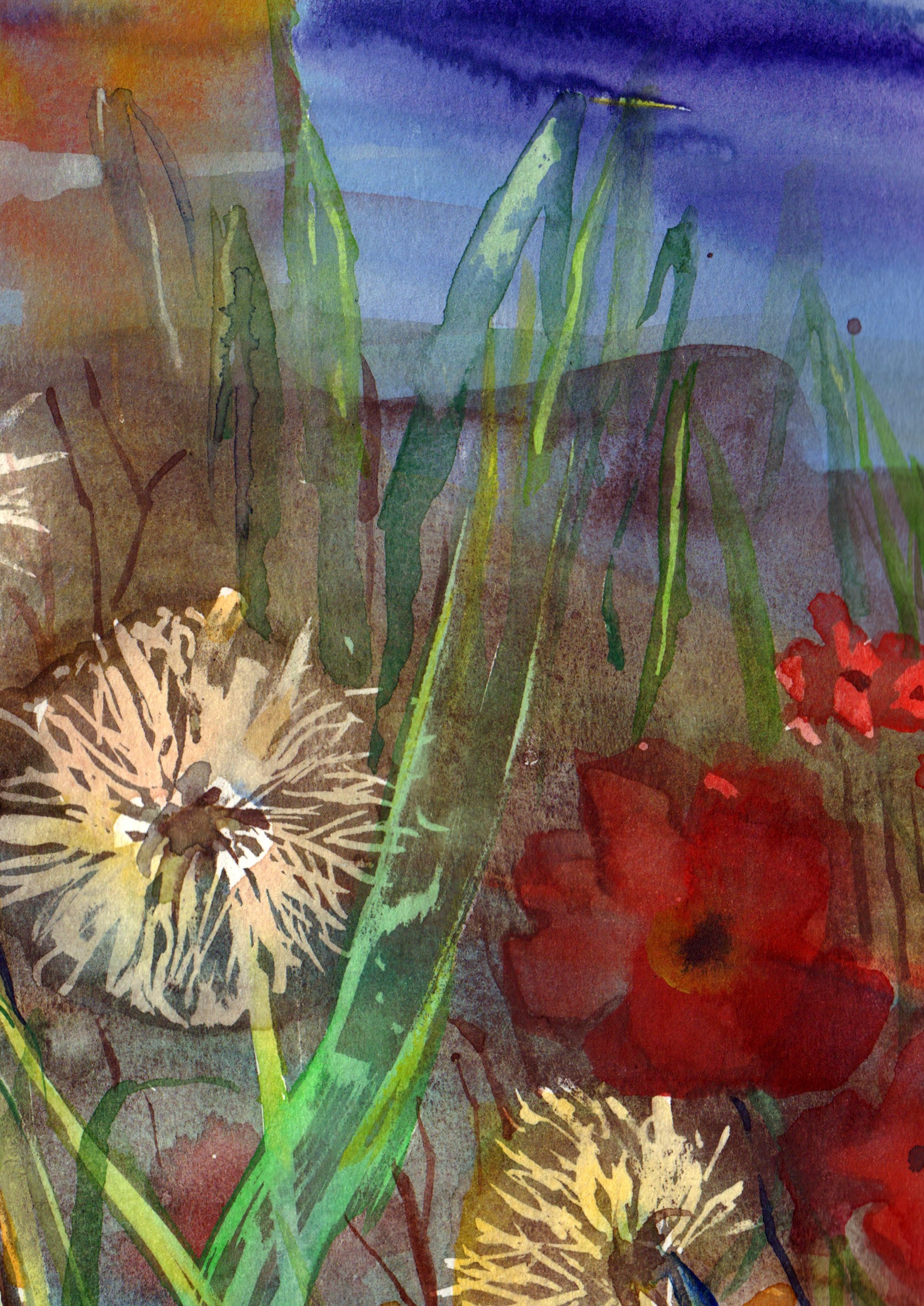 Dandelions And Poppies