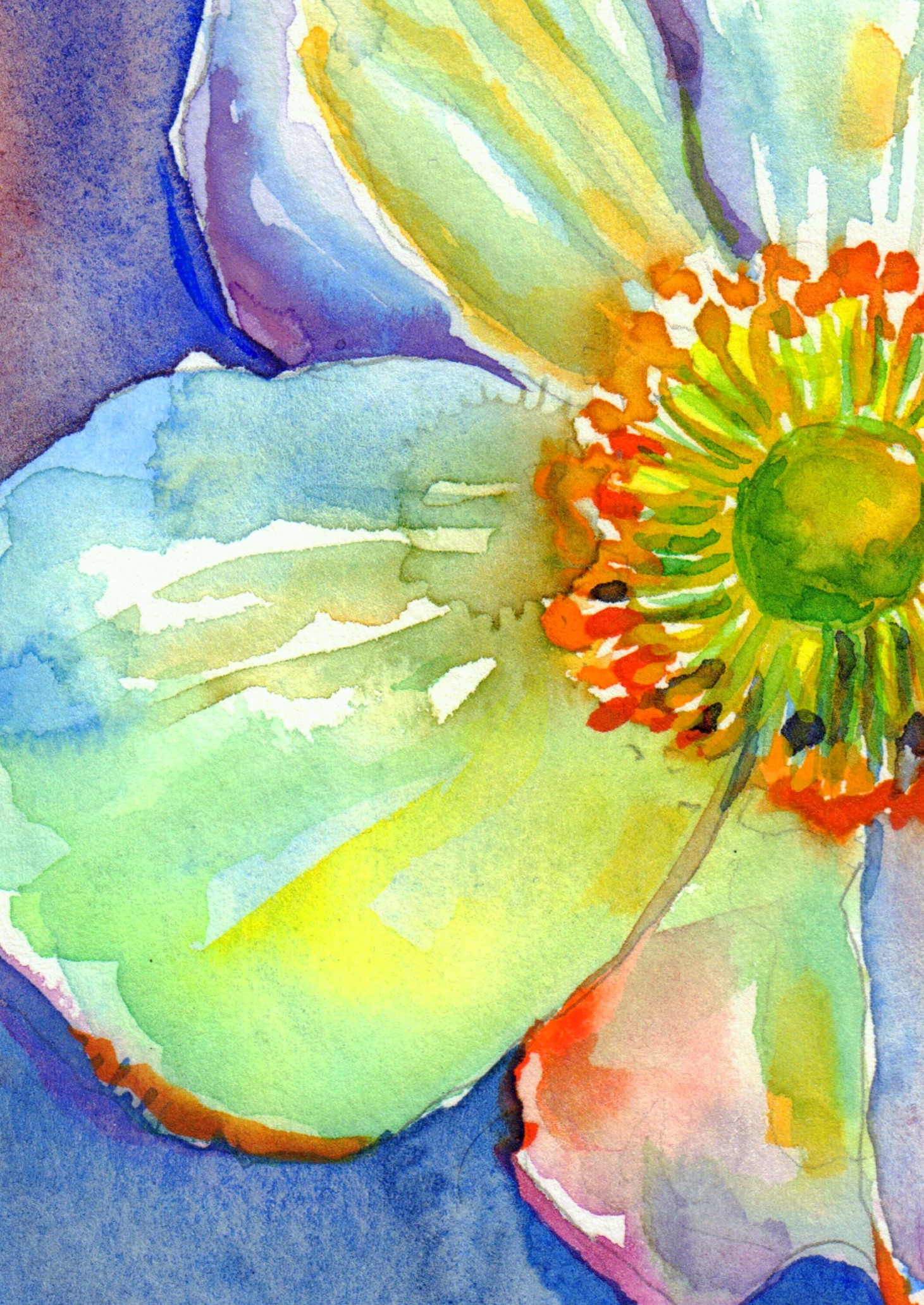 Anemones
