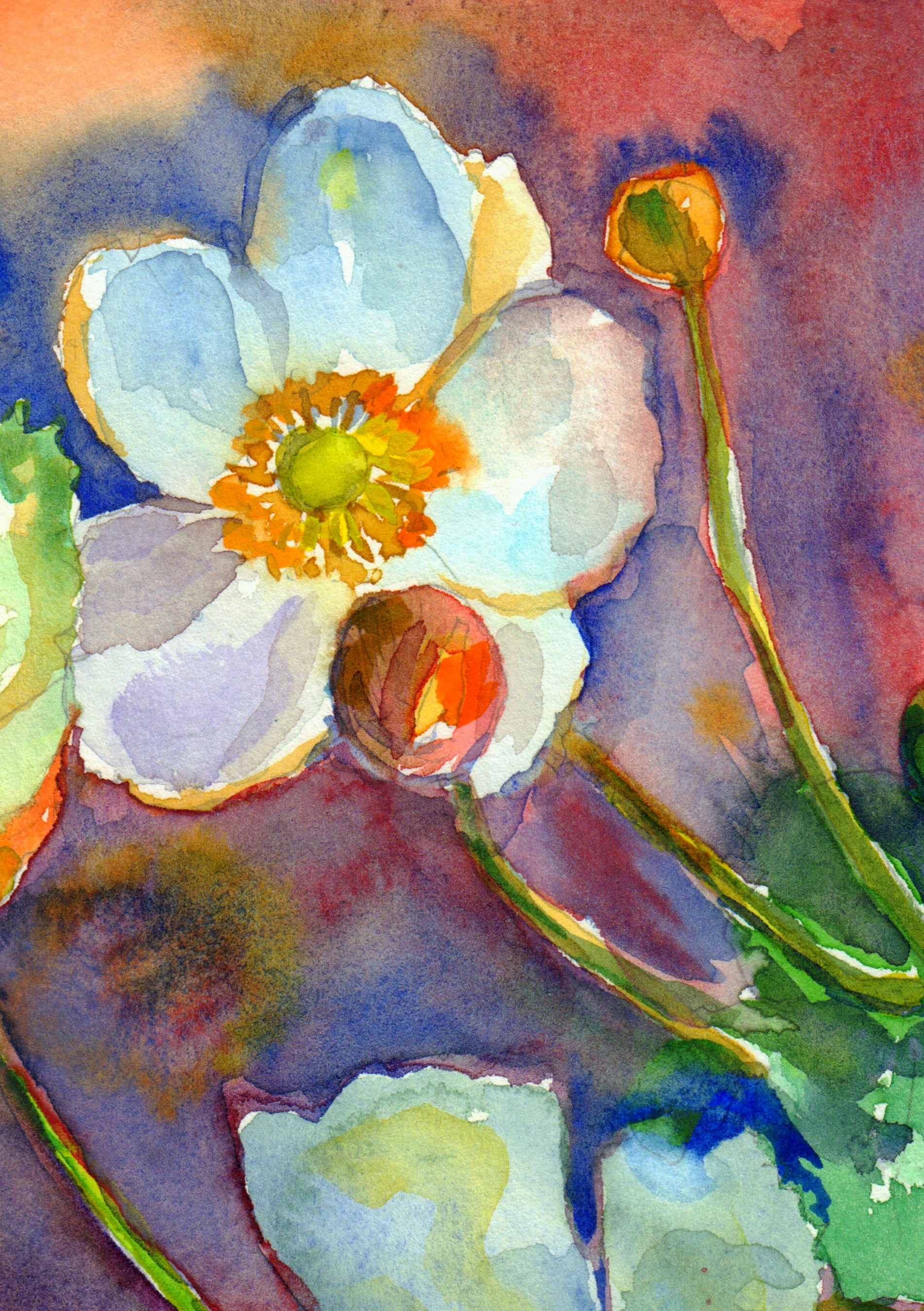 Anemones