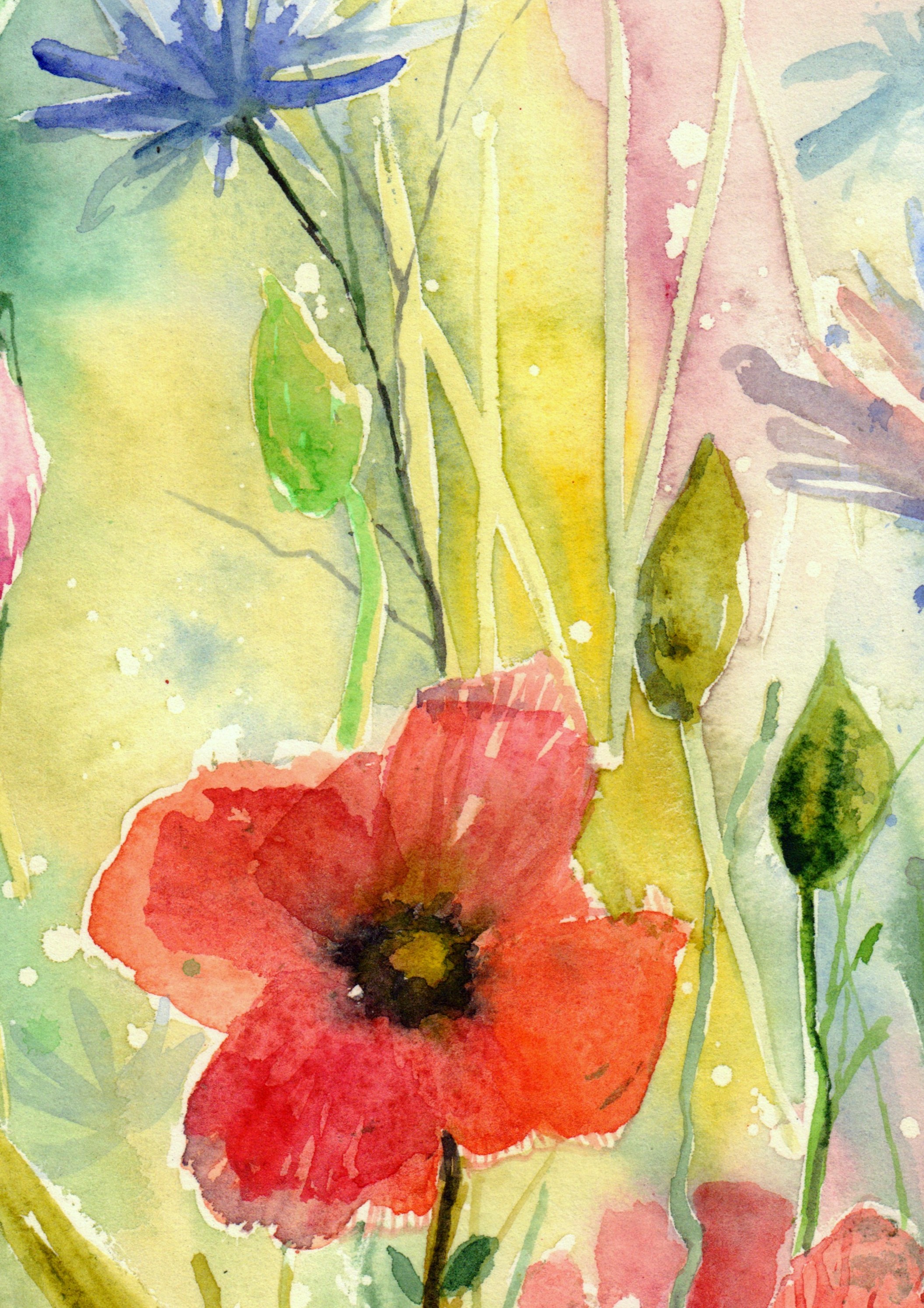 Where Spring Begins
