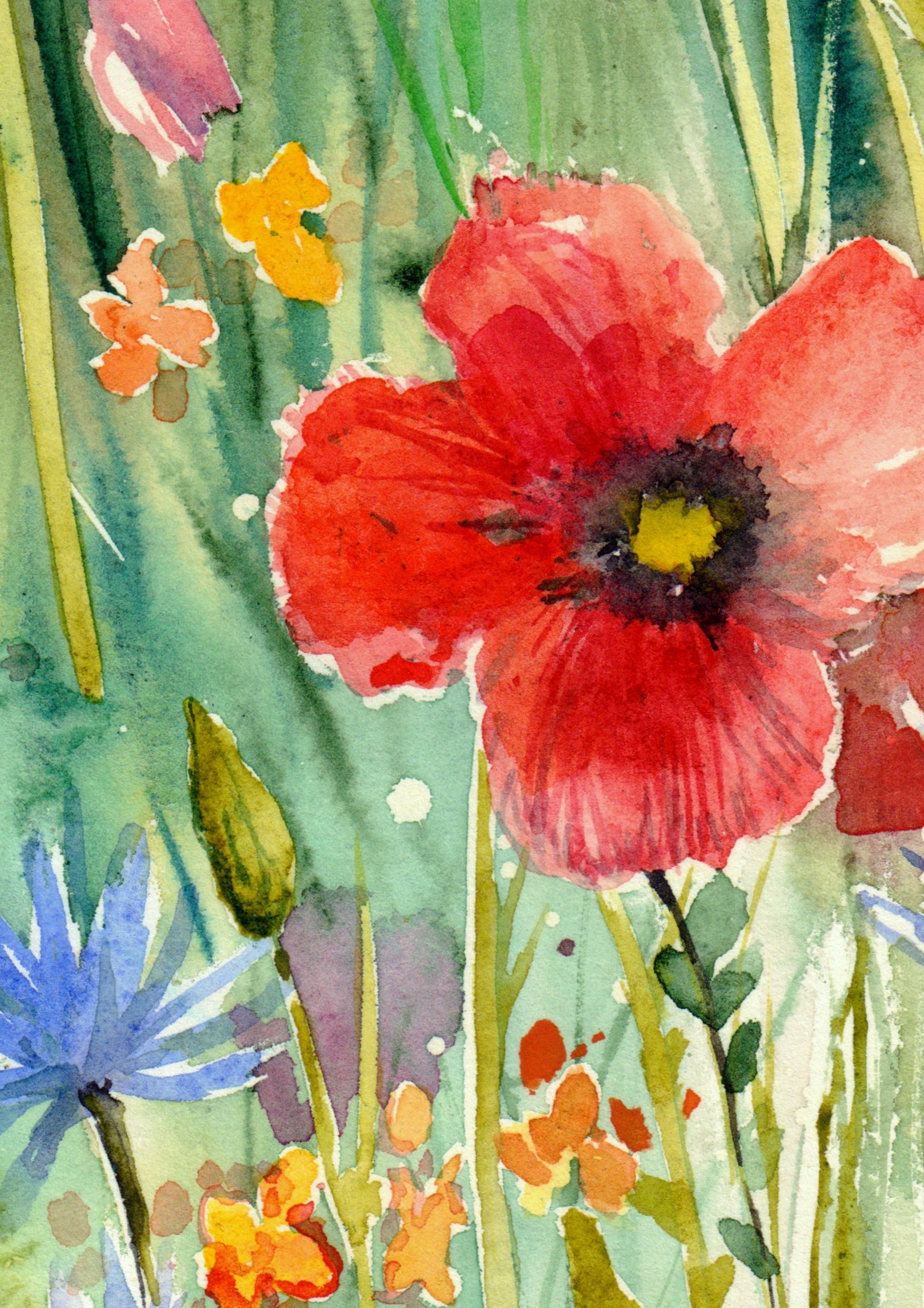 Where Spring Begins