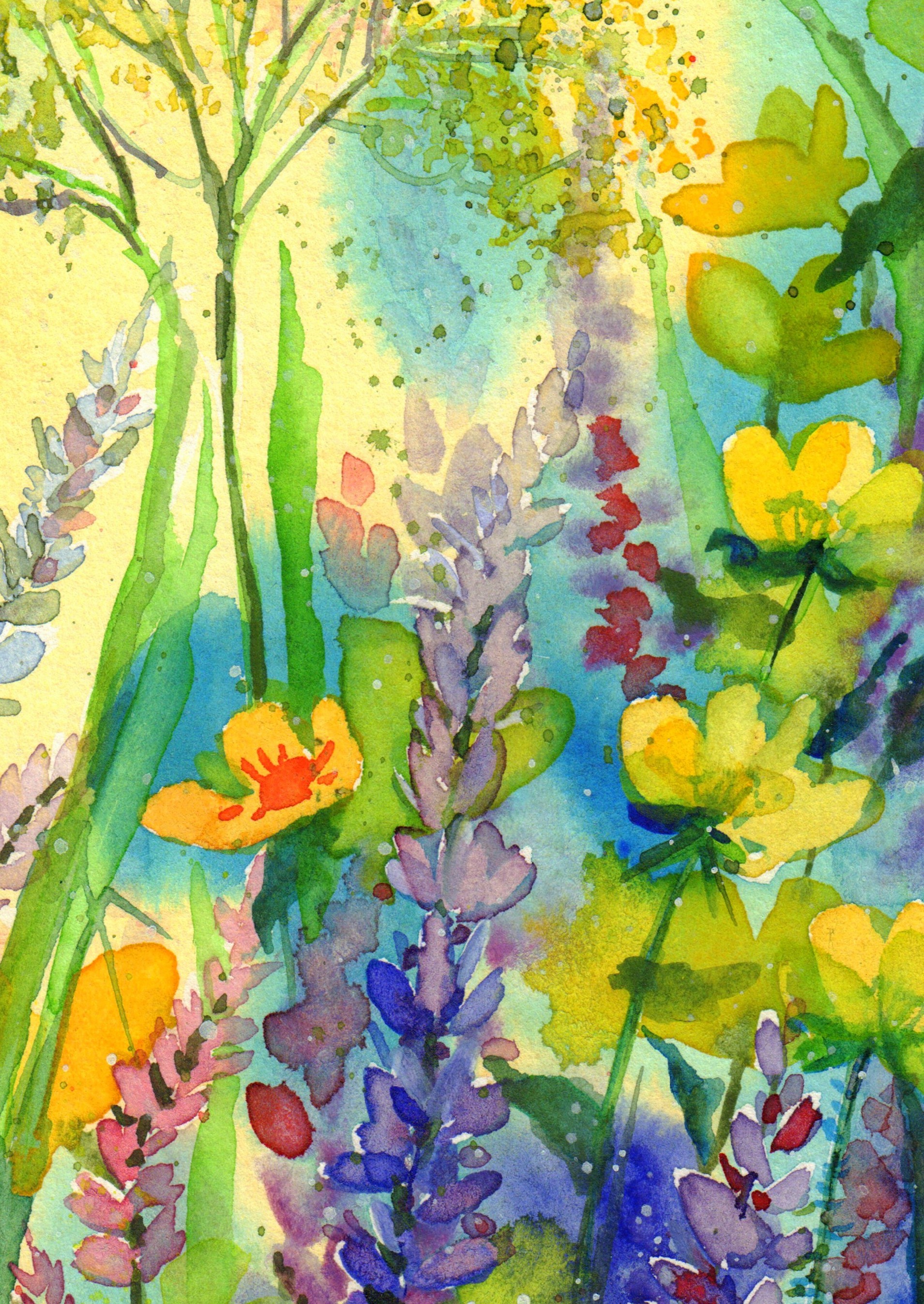 Spring Field