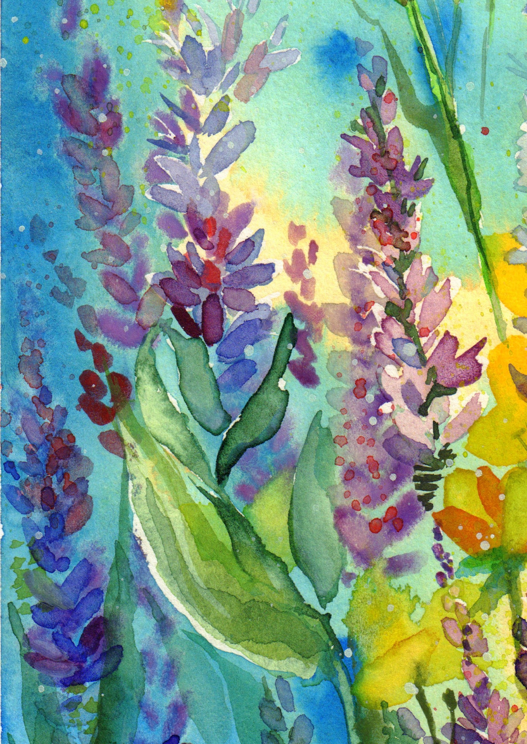 Spring Field
