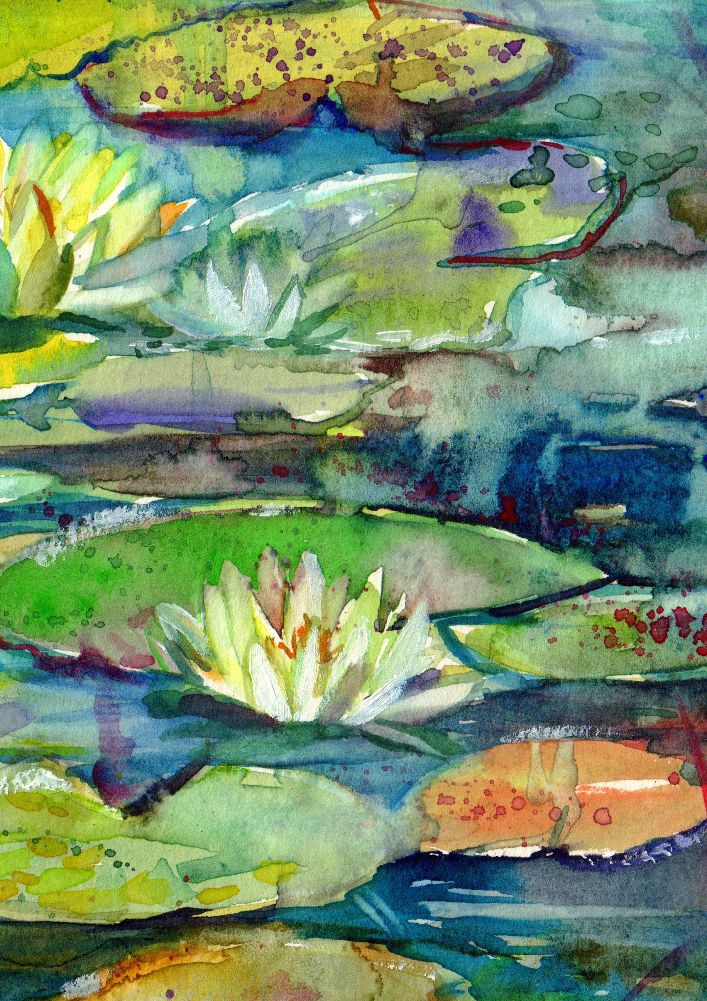 Wild Pond