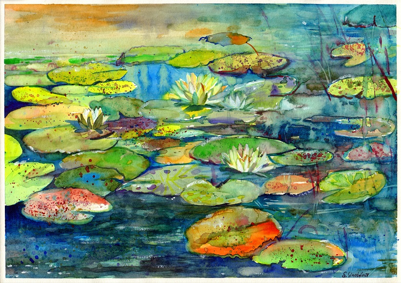 Wild Pond
