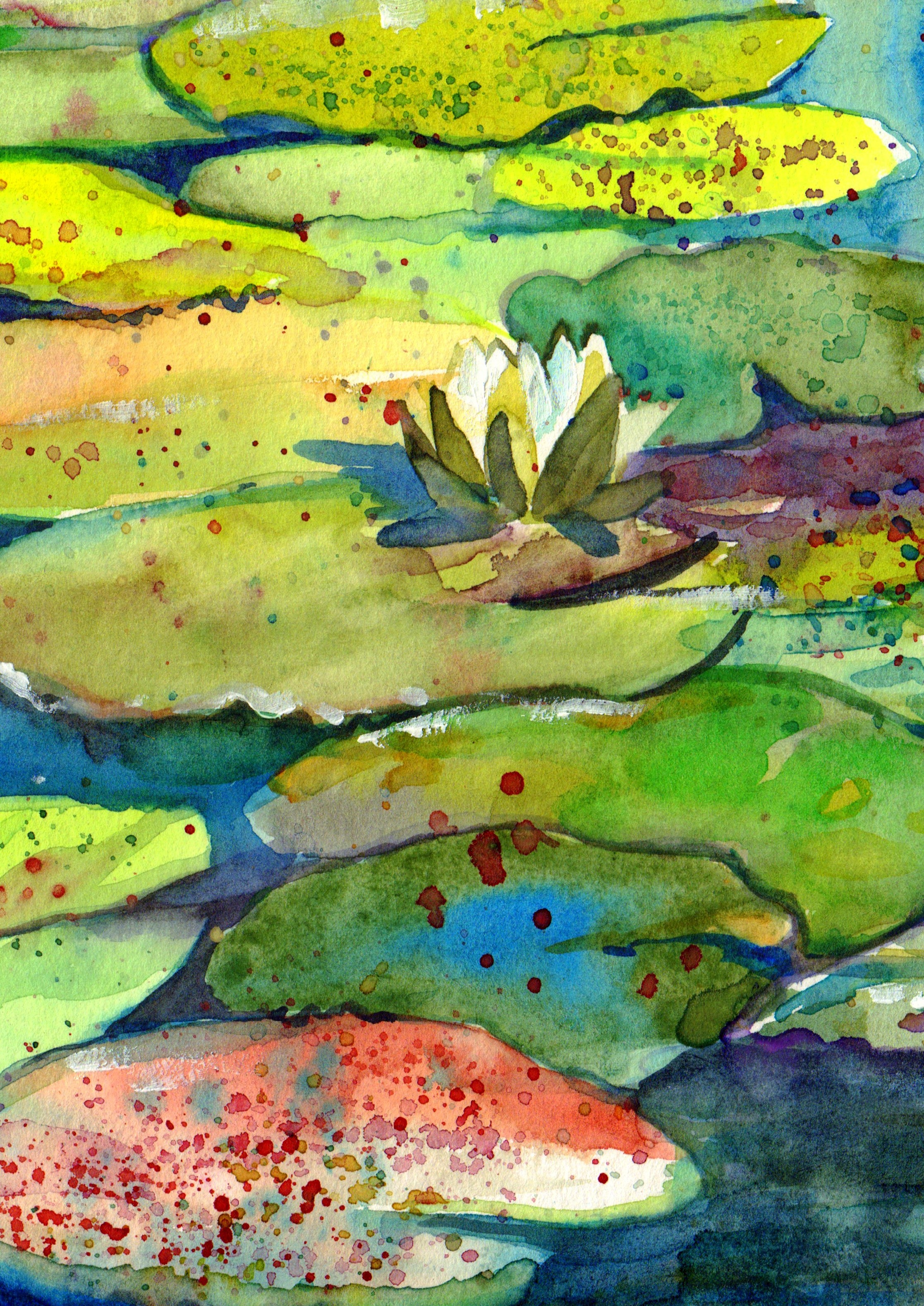 Wild Pond