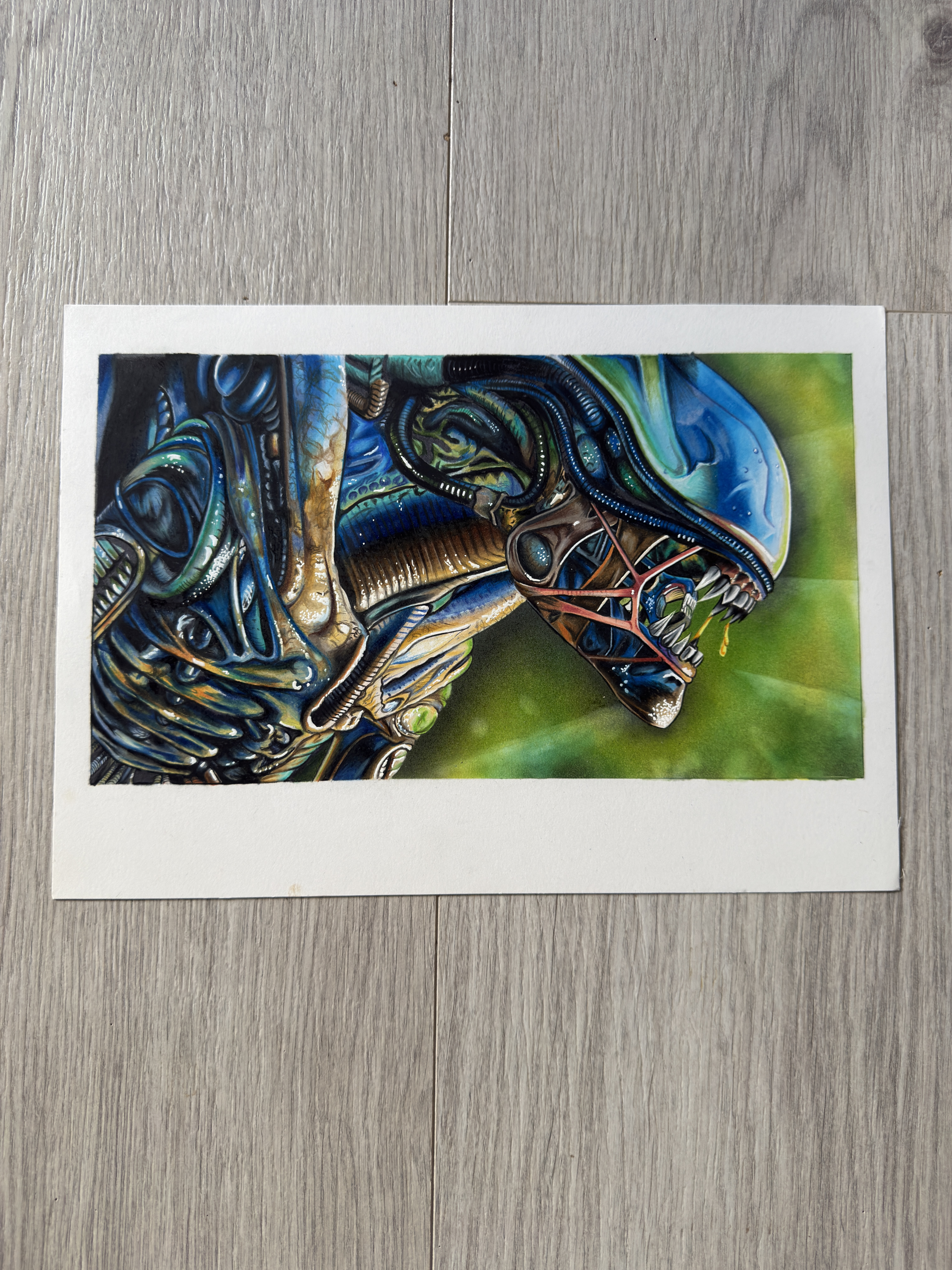 Xenomorph Drawing