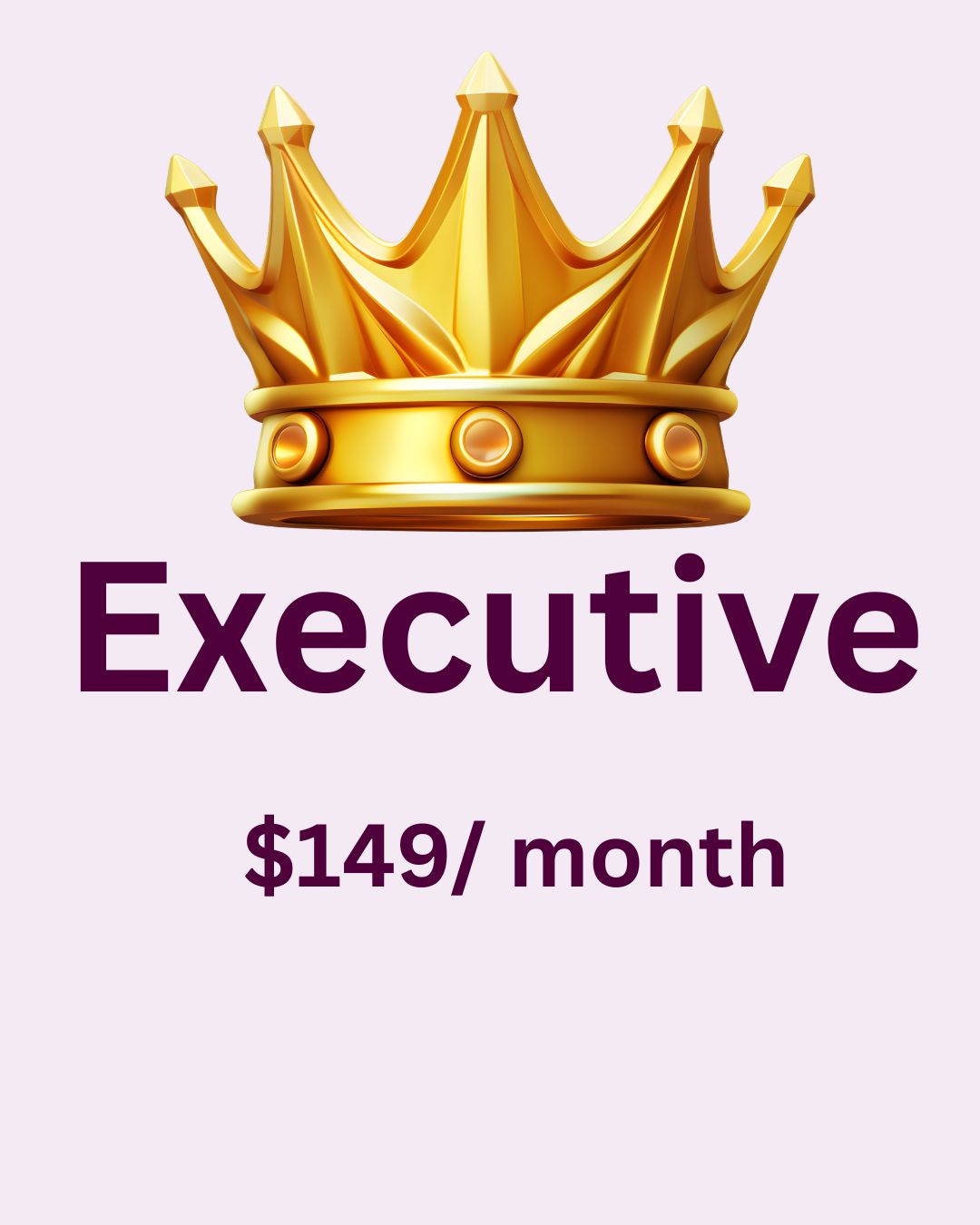 Executive Package (A $660 VALUE)