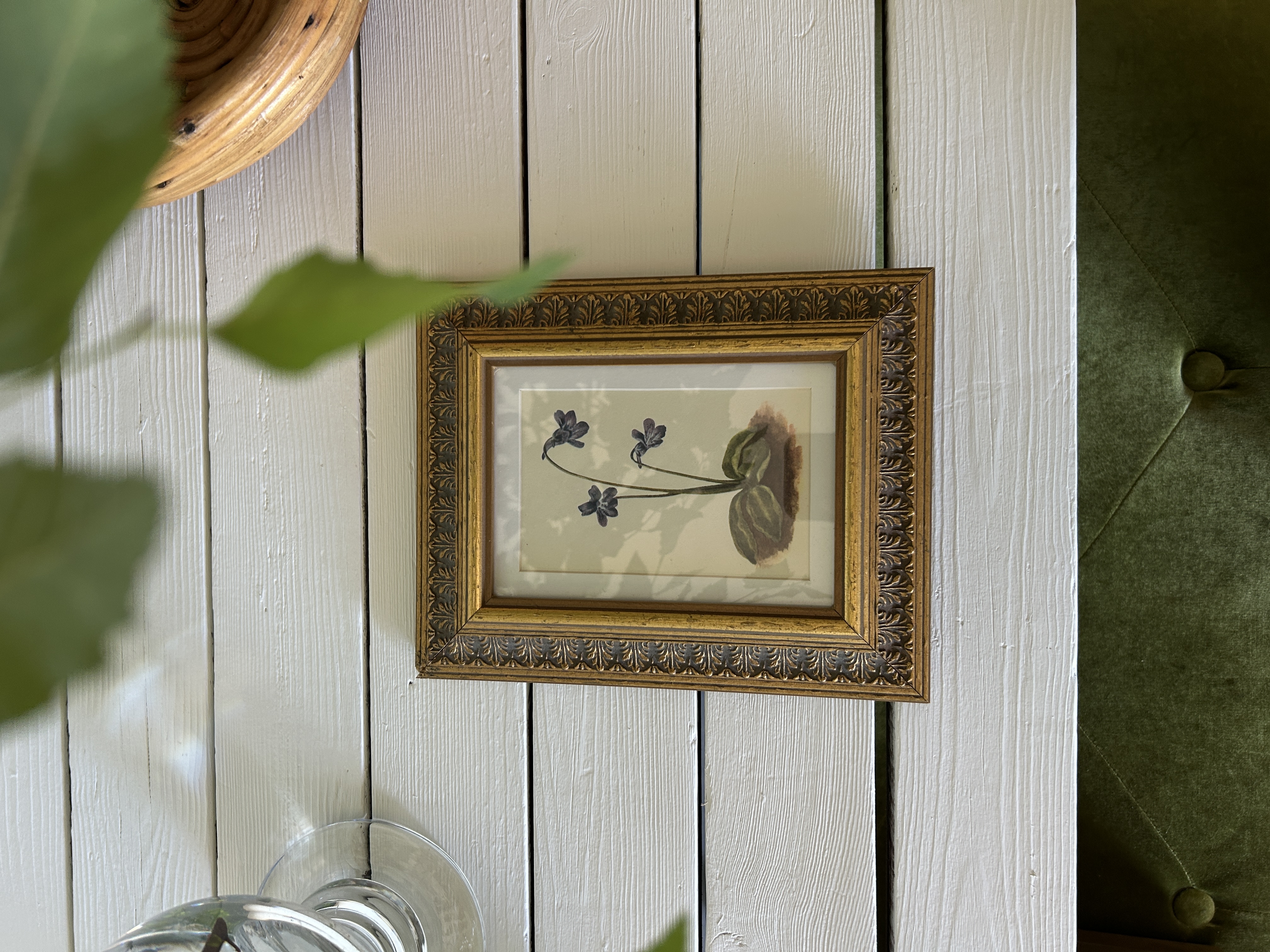 Framed Botanical Art Print