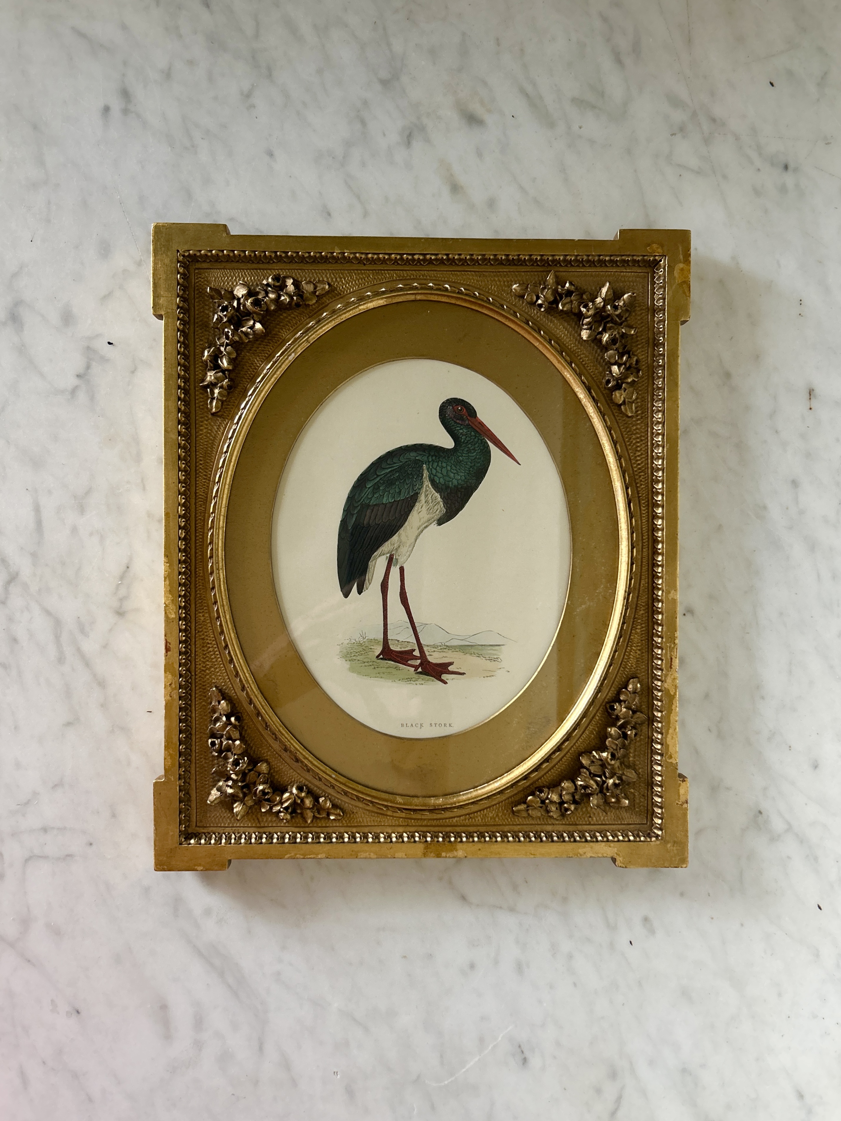 Antique Framed Morris Stork Engraving