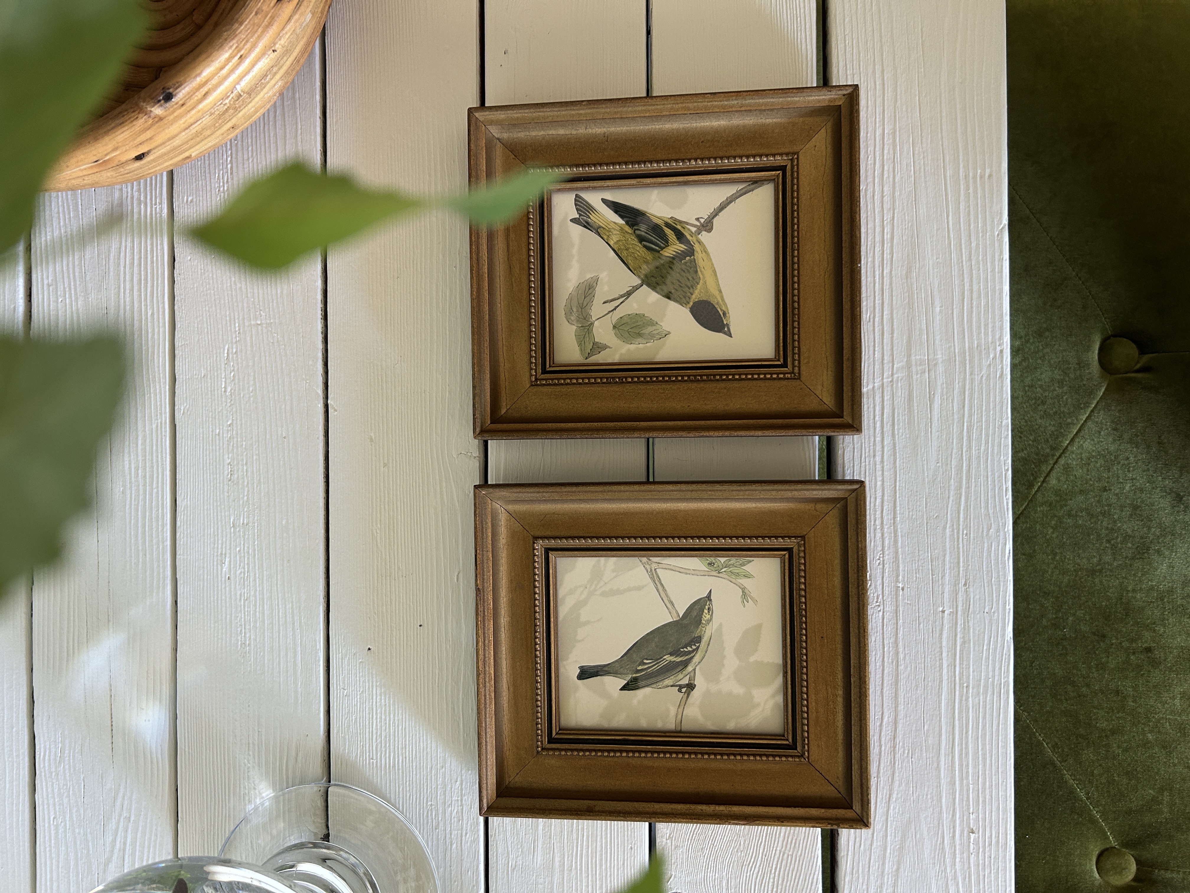 Framed Antique Bird Engravings Set of 2)