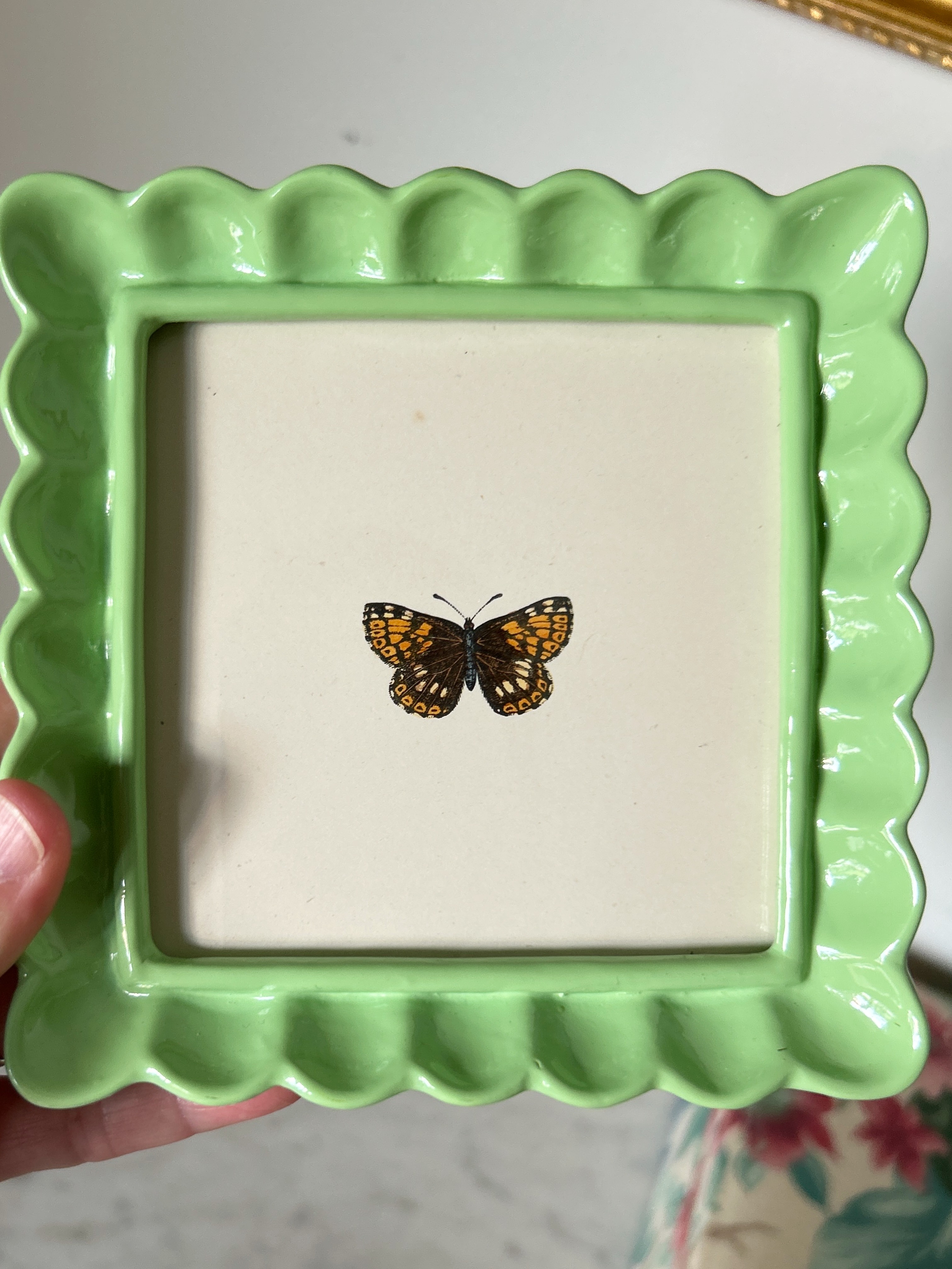 Framed Butterfly Art Set