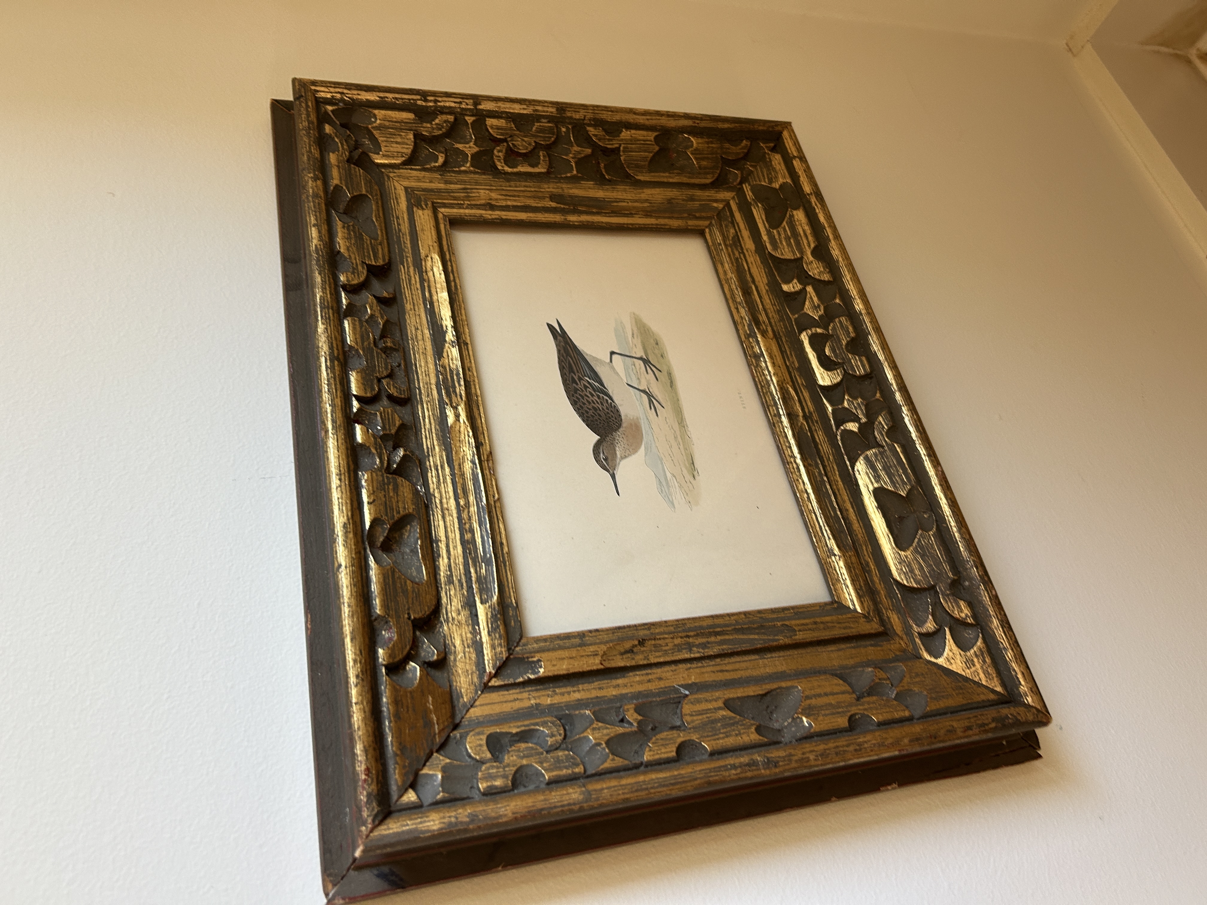 Vintage Framed Antique Shorebird