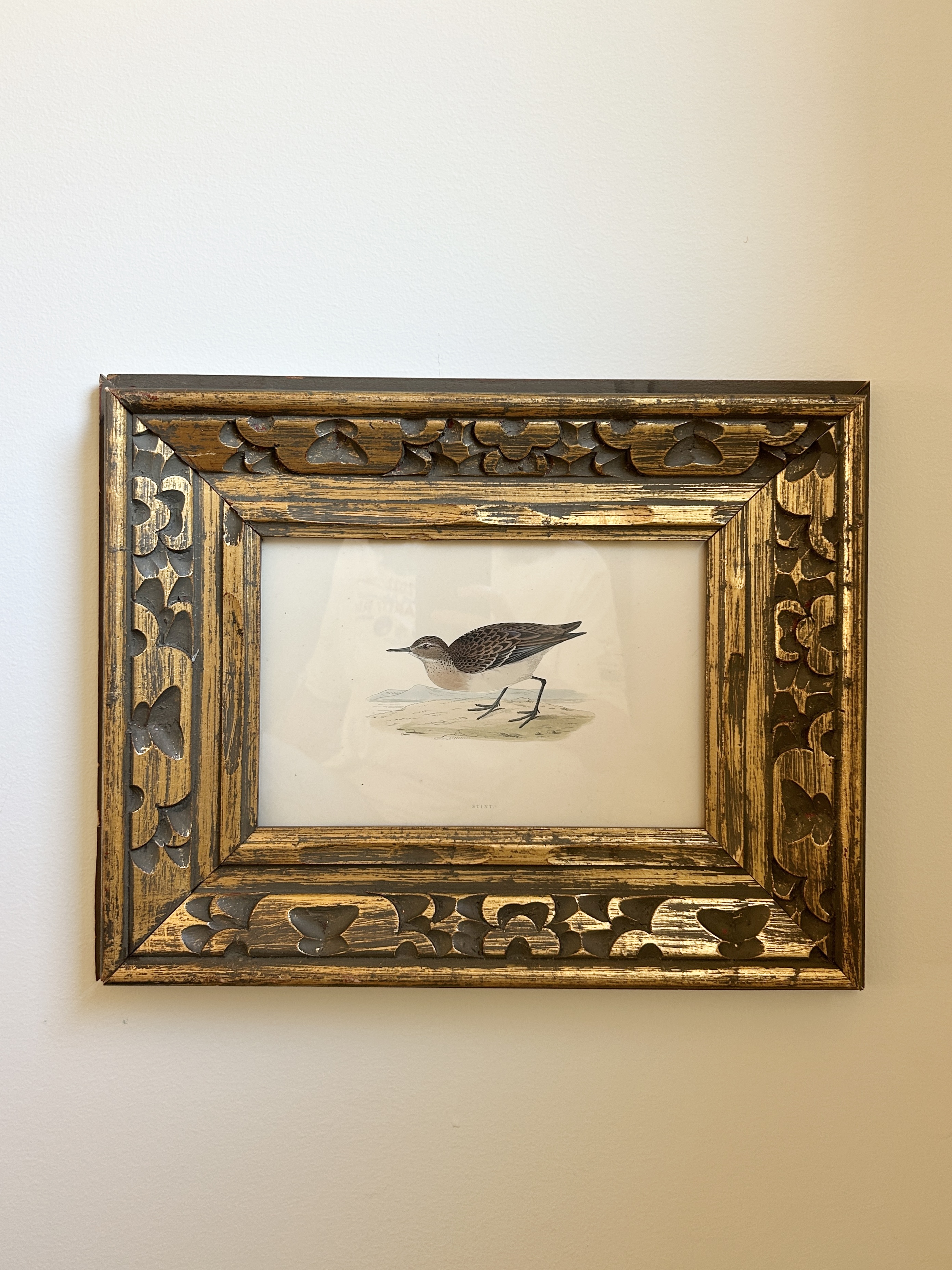 Vintage Framed Antique Shorebird