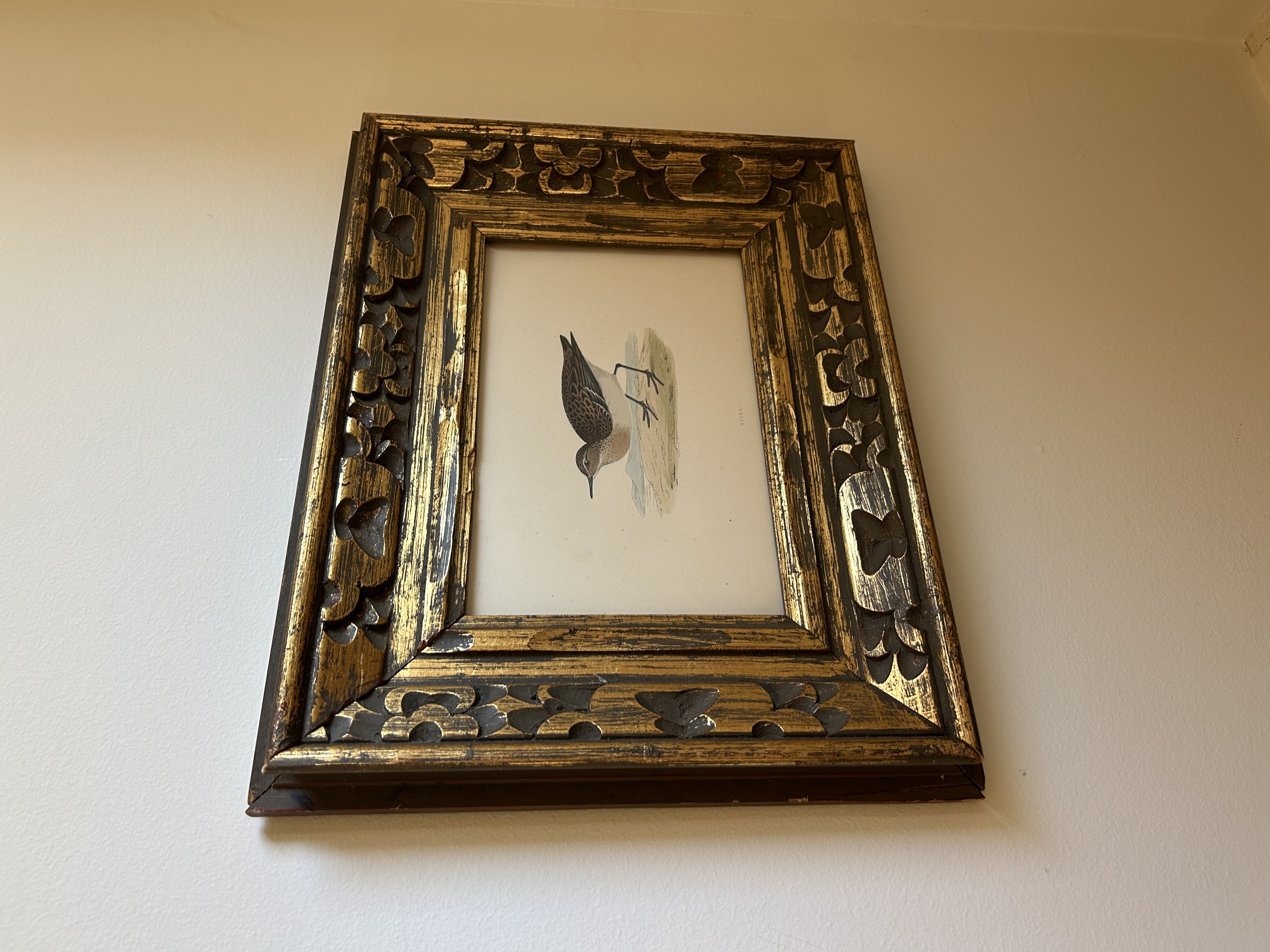 Vintage Framed Antique Shorebird
