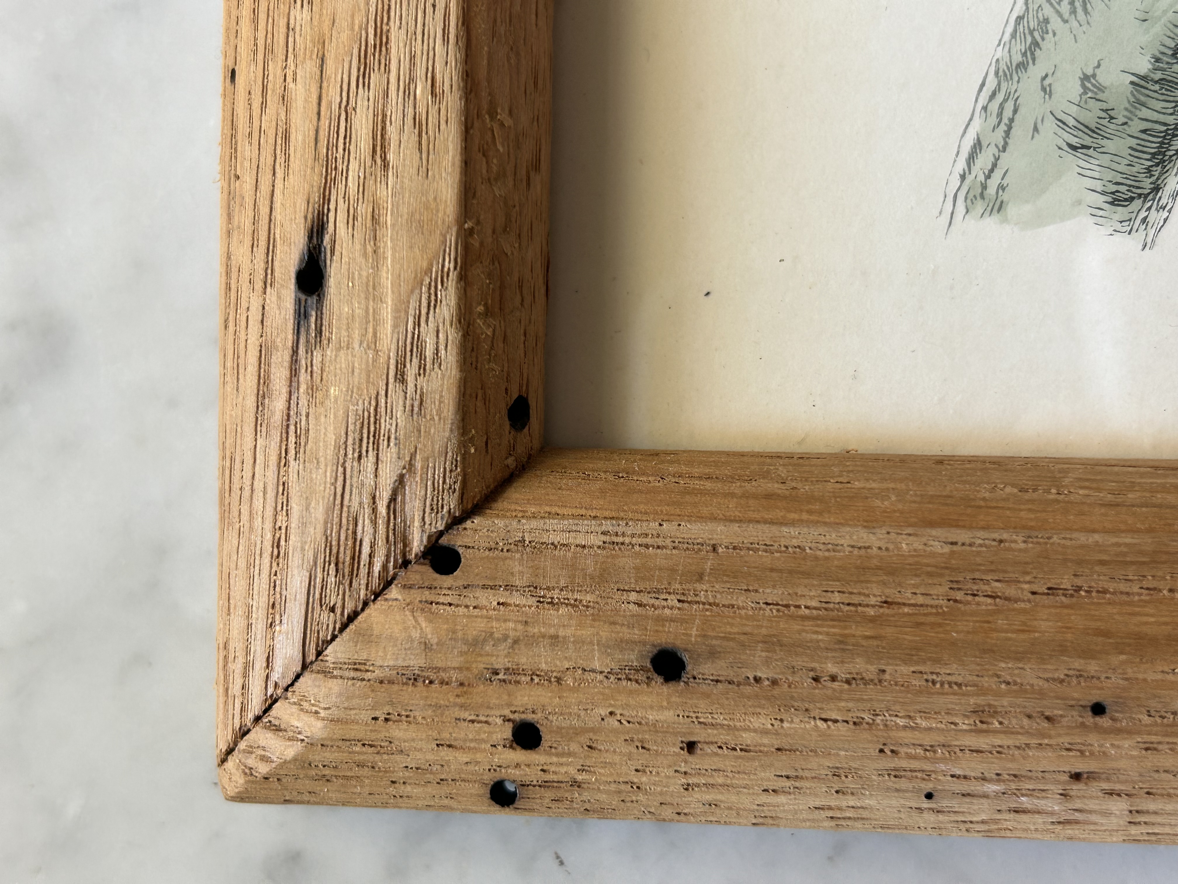 Framed Antique Engraving