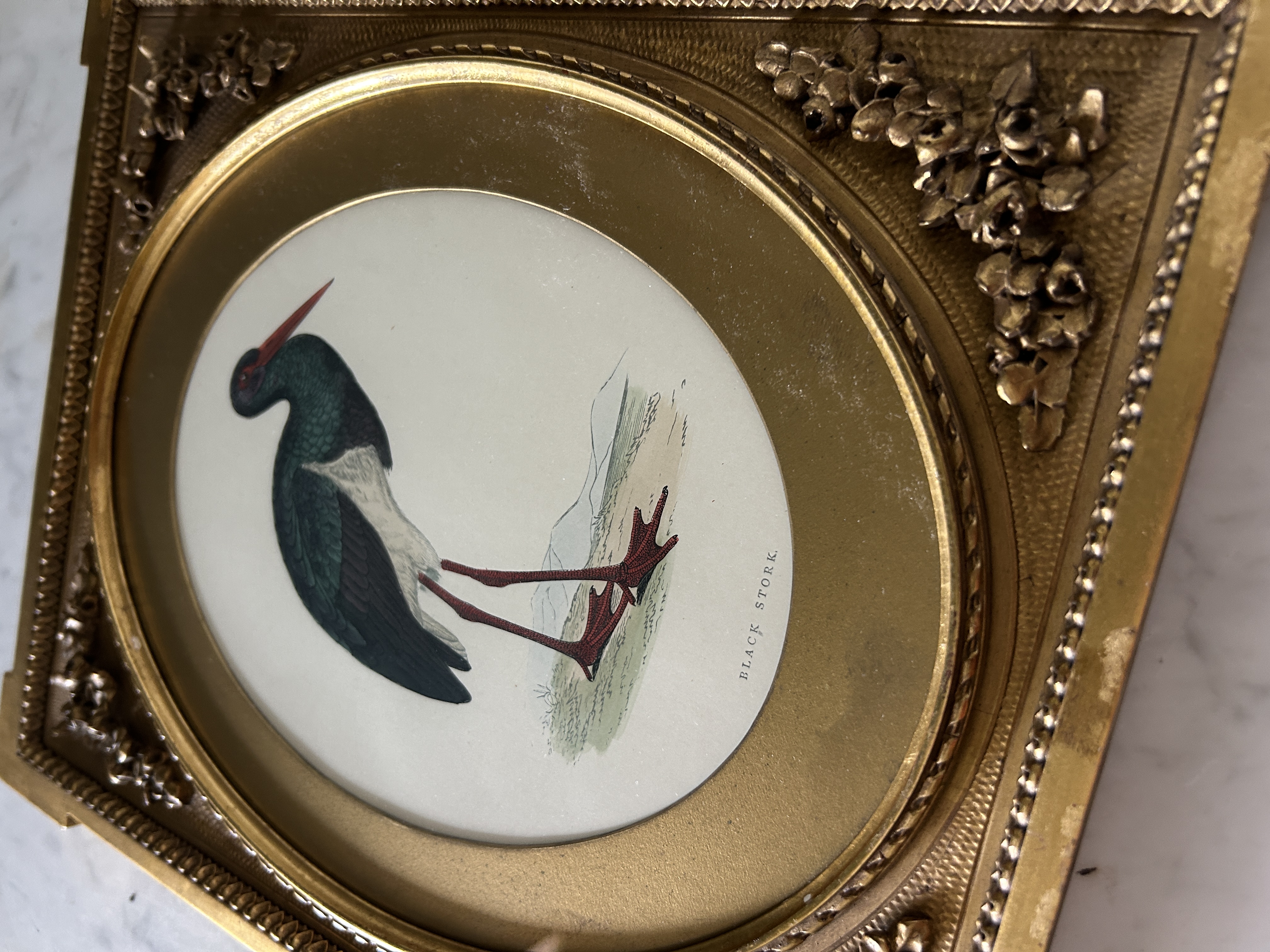 Antique Framed Morris Stork Engraving