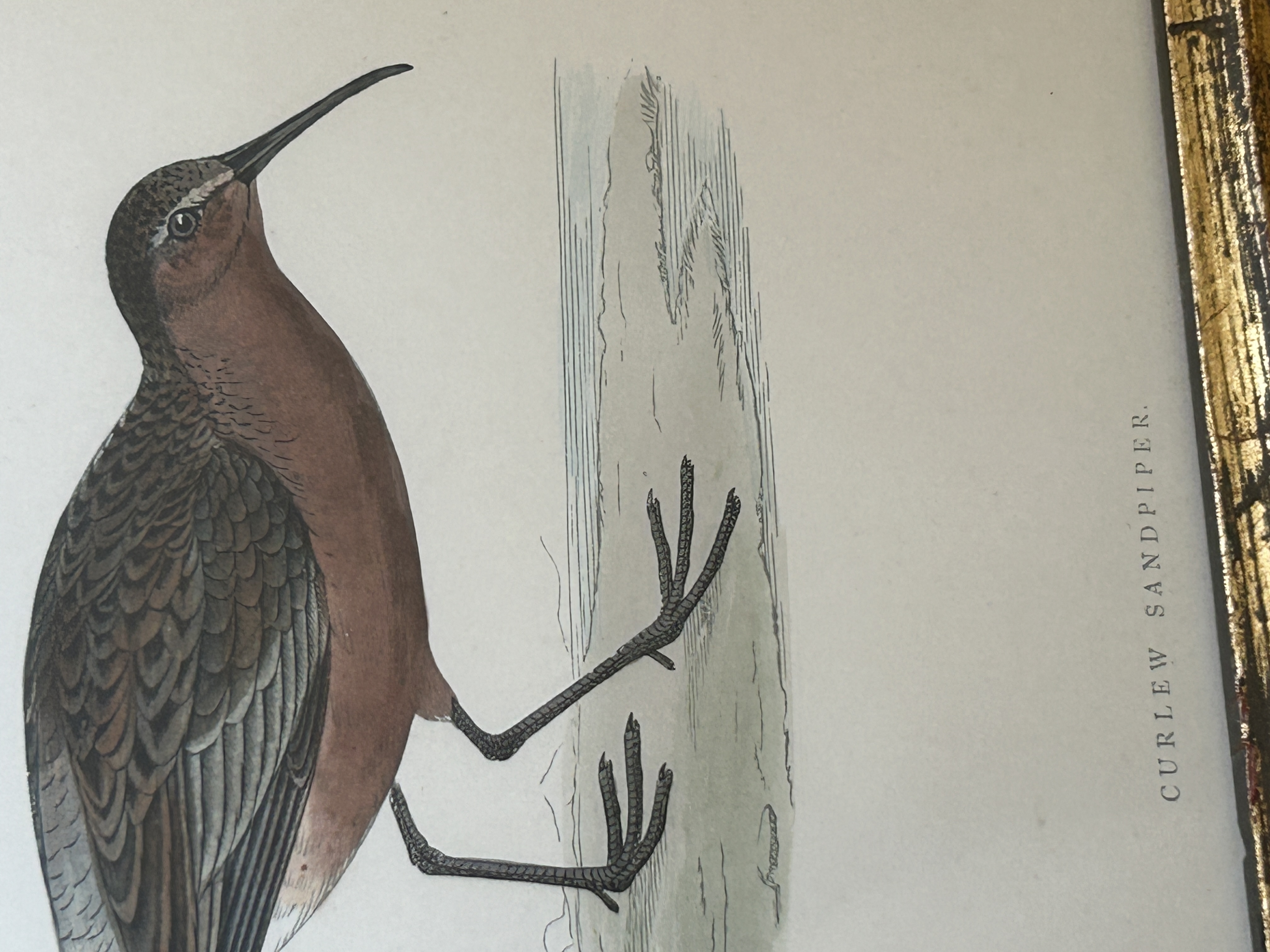 Vintage Framed Antique Art