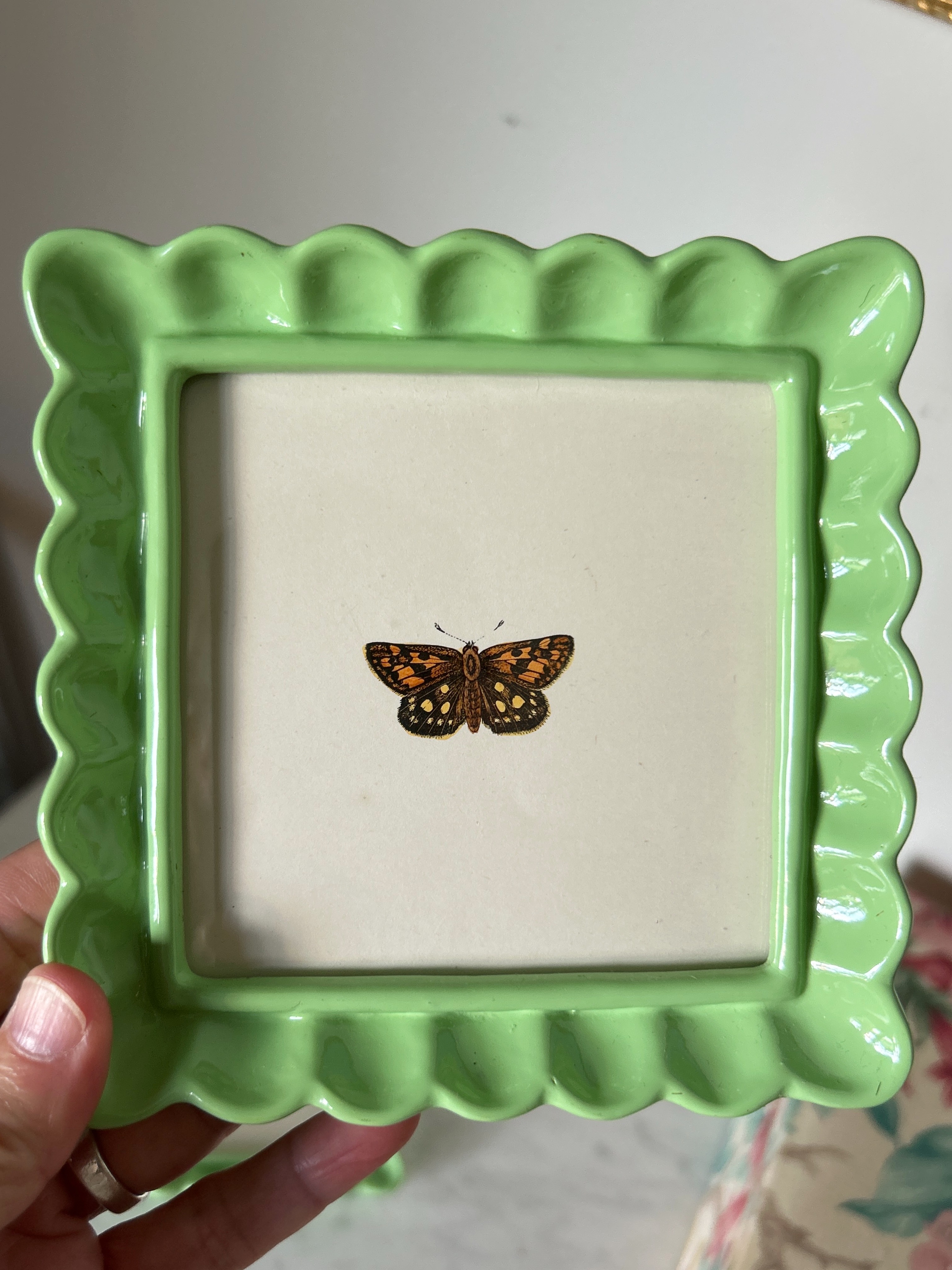 Framed Butterfly Art Set