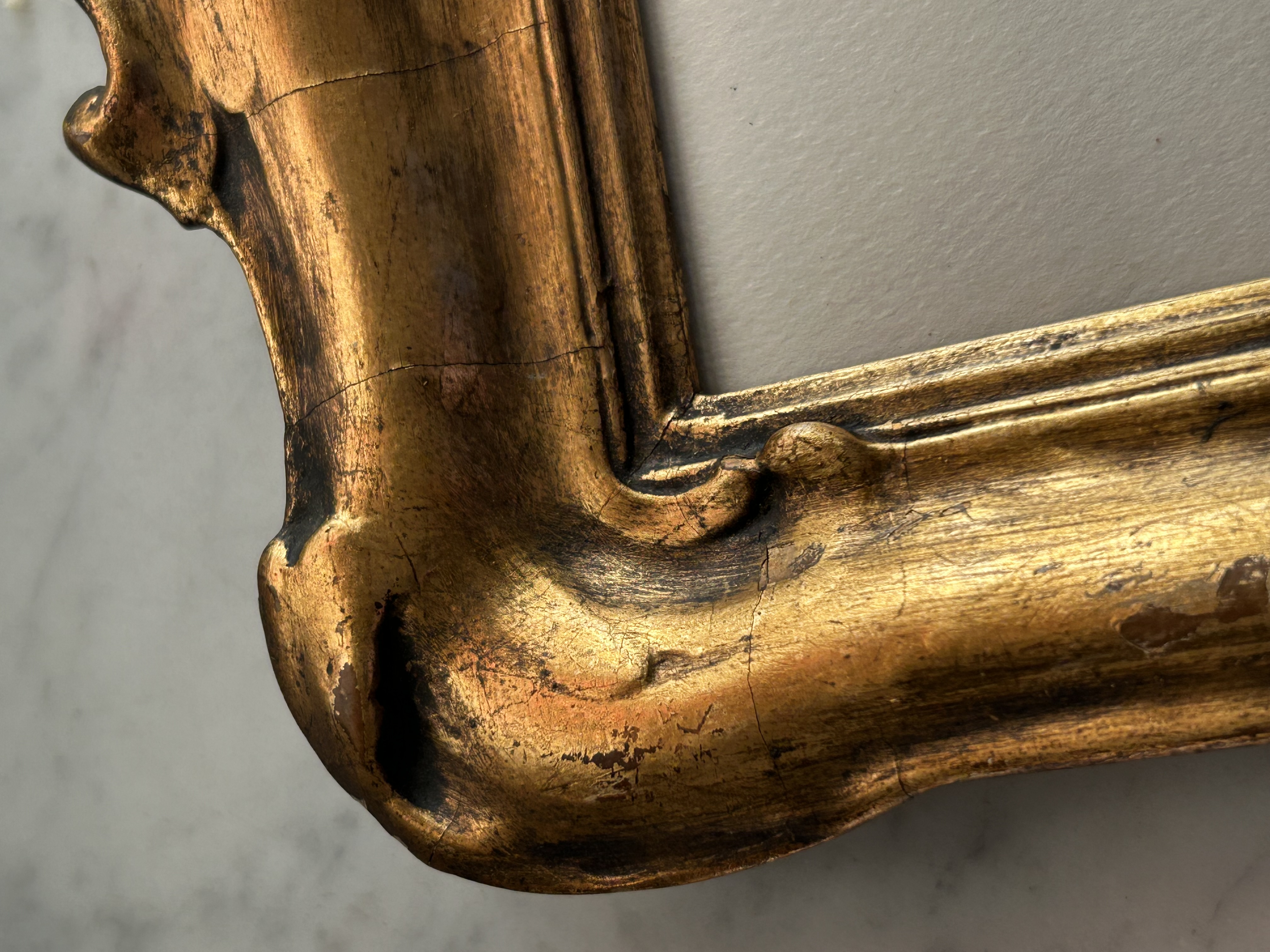 Antique Framed Warbler