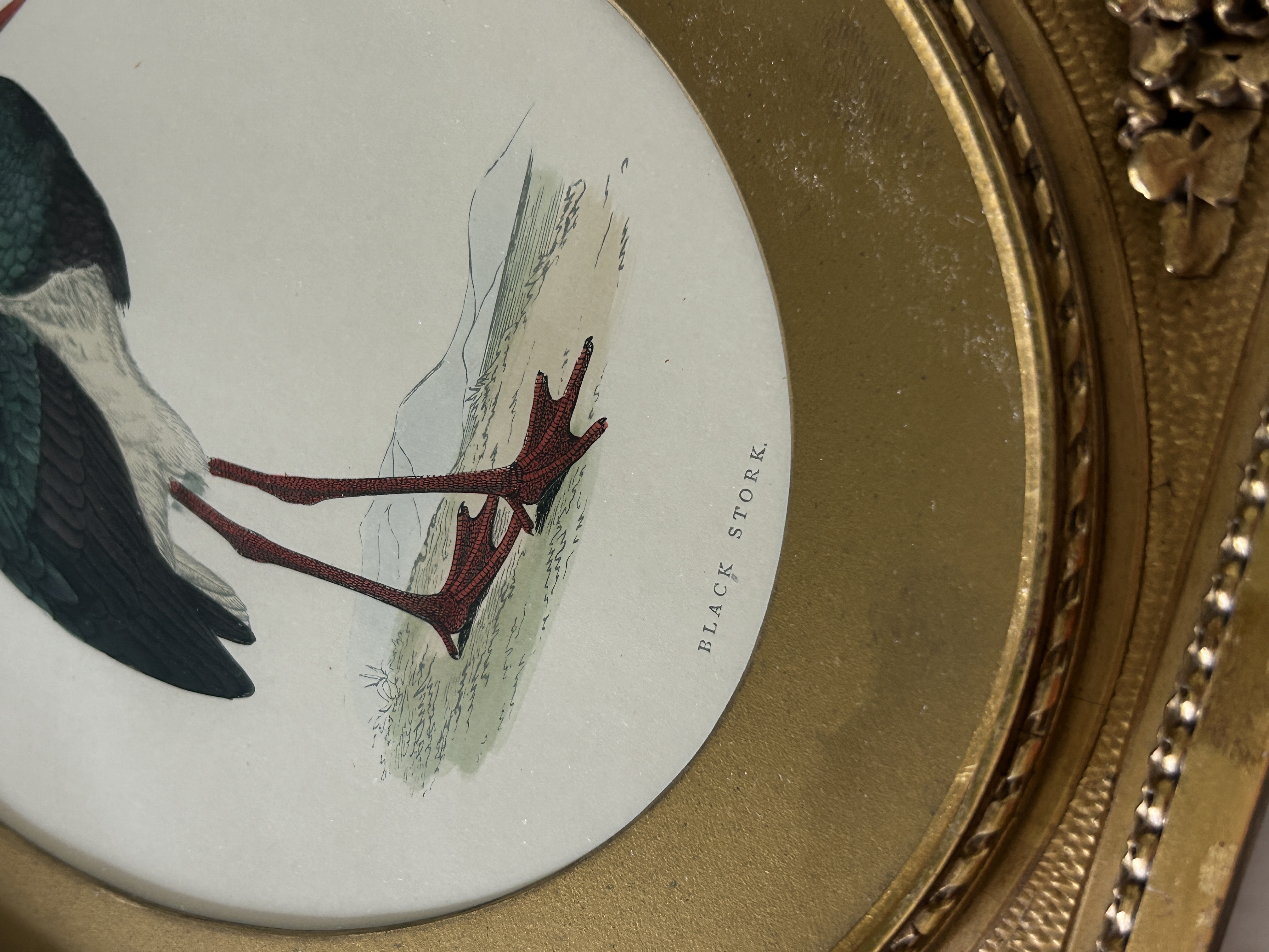 Antique Framed Morris Stork Engraving