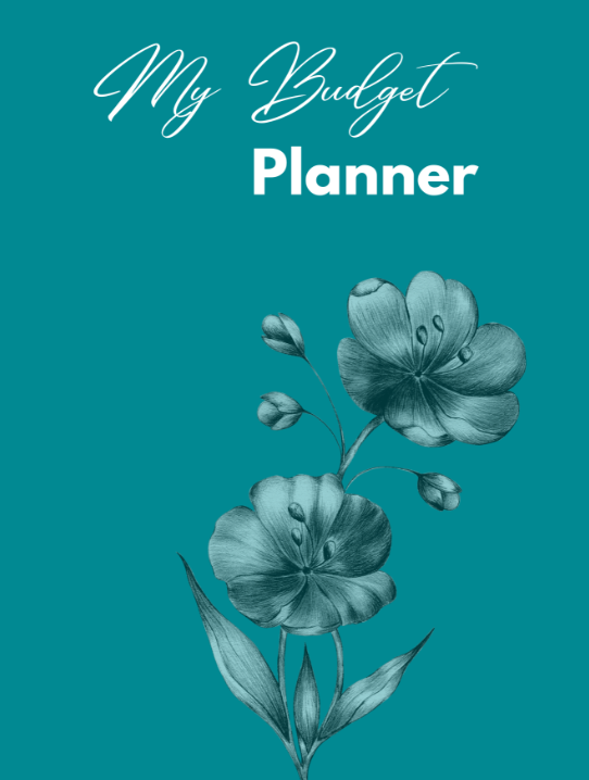 Monthly Financial Budget Planner (Undated)